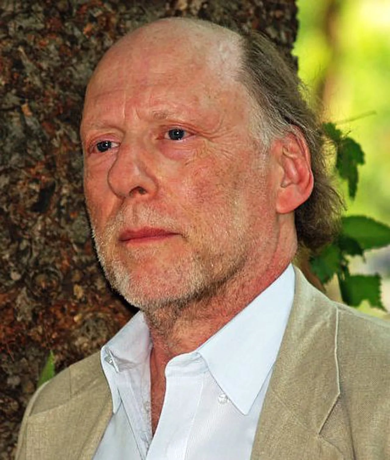 Portrait of Todd Gitlin (1943–2022) – memorial page