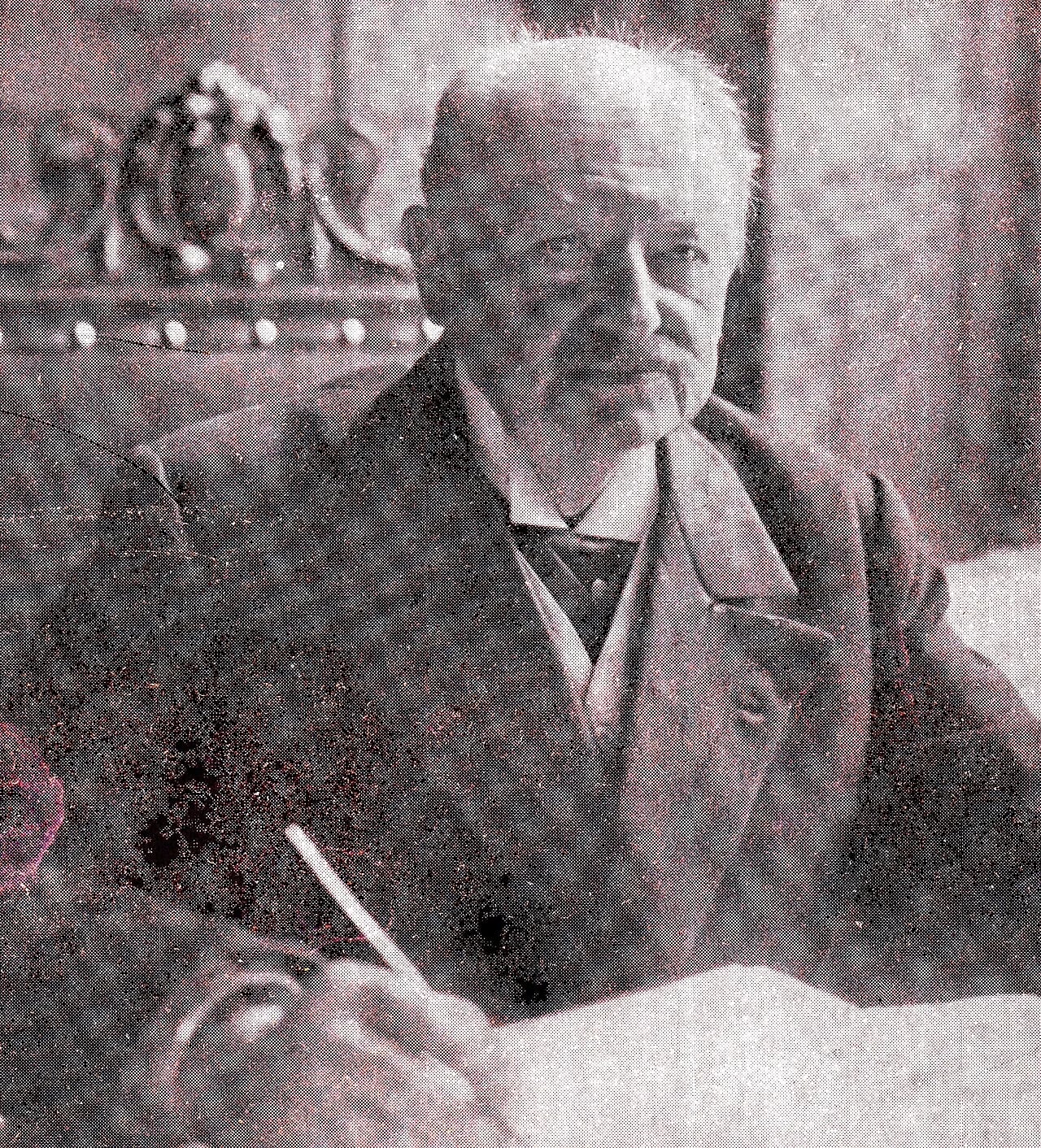 Porträt von Hendrik Goeman Borgesius (1847–1917) – Gedenkseite