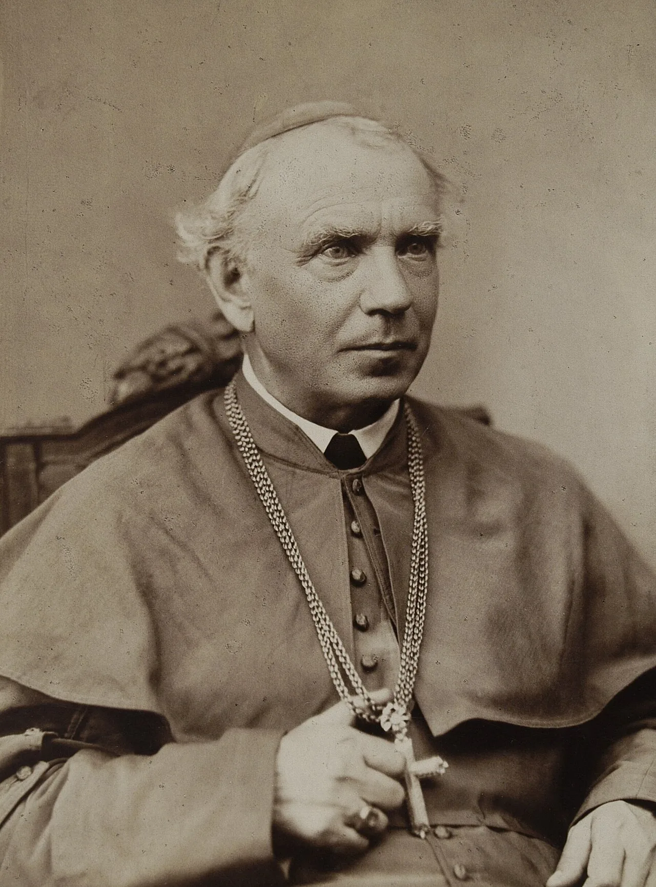 Portrait of Zygmunt Szczęsny Feliński (1822–1895) – memorial page