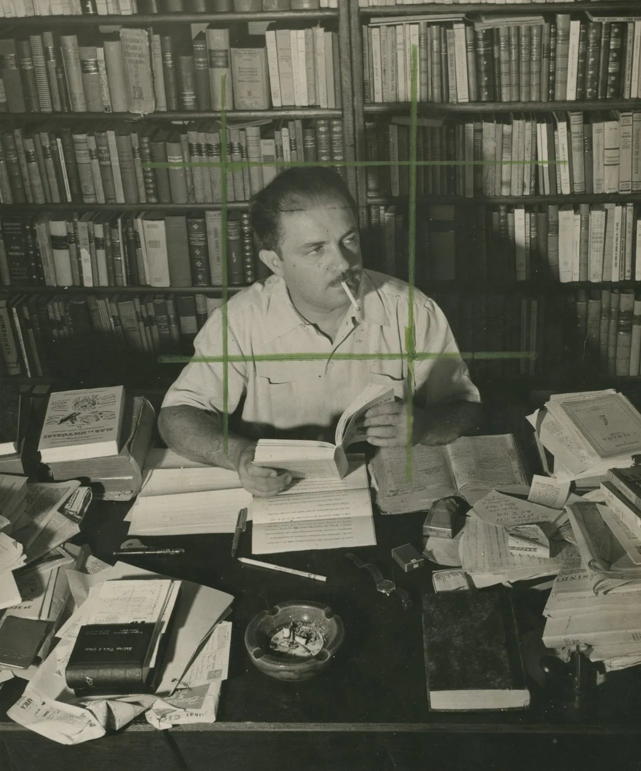 Porträt von Aurélio Buarque de Holanda Ferreira (1910–1989) – Gedenkseite