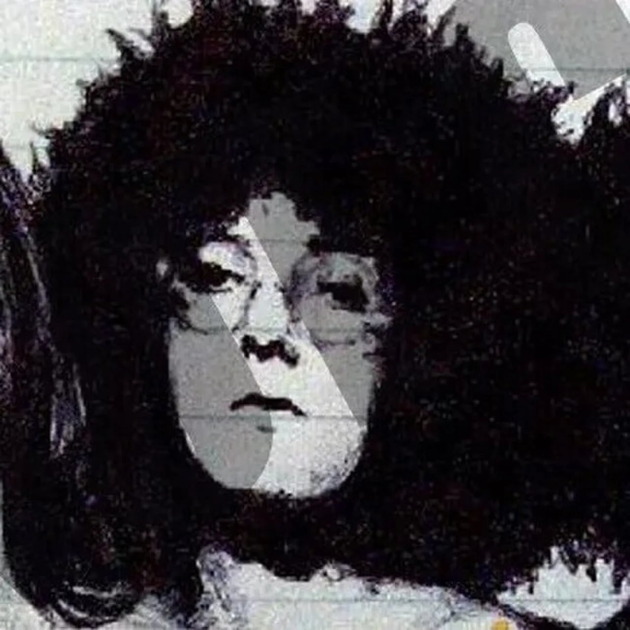 Portrait of Rob Tyner (1944–1991) – memorial page