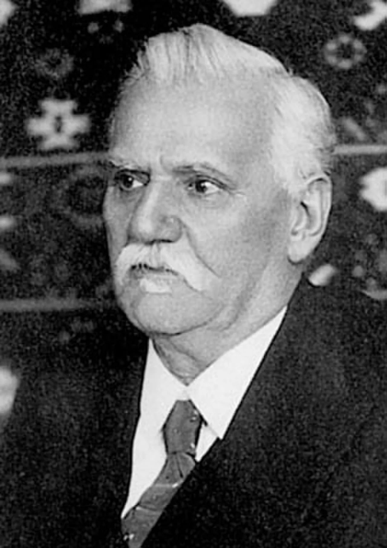 Portrait of Vladimir Varićak (1865–1942) – memorial page
