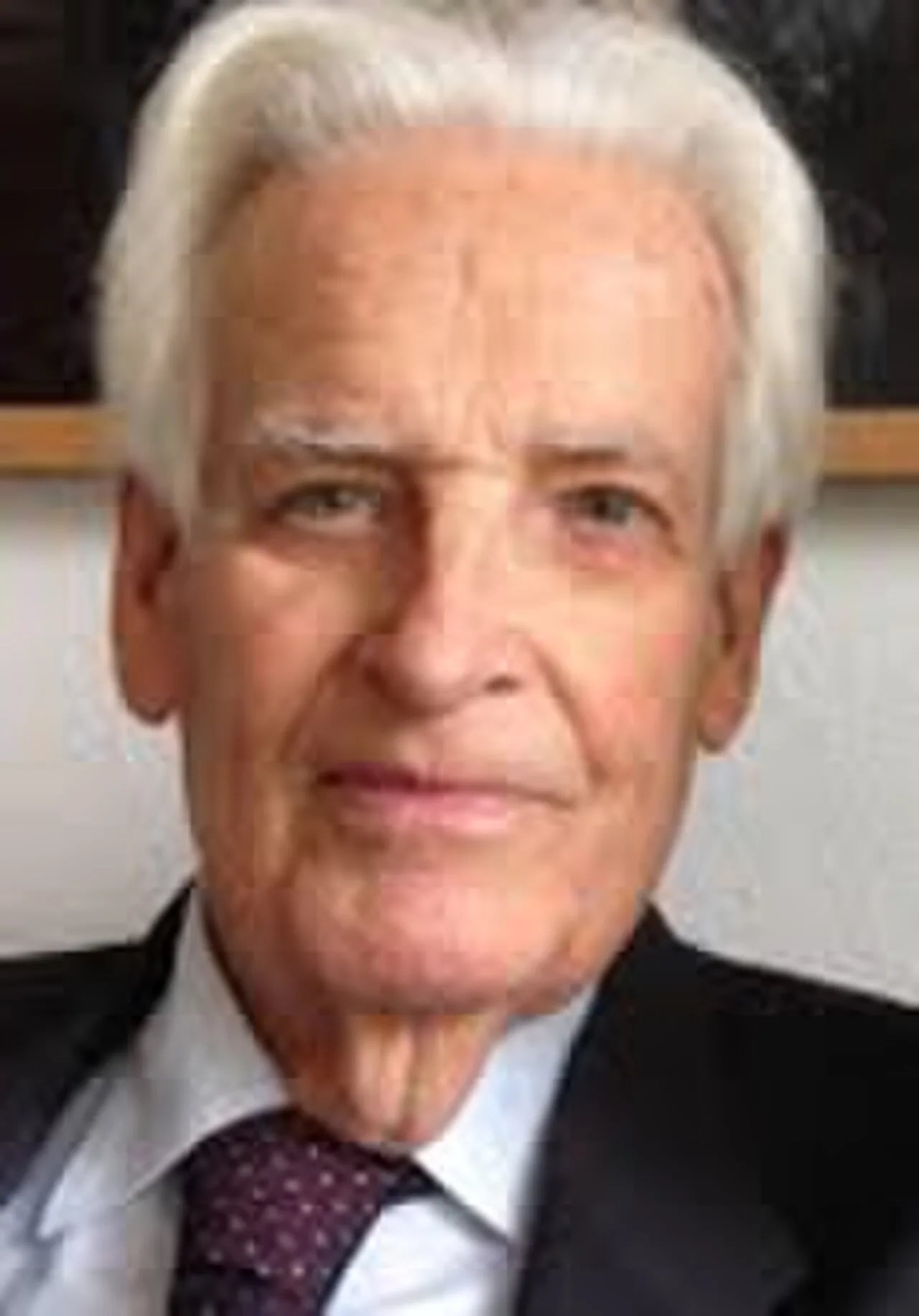 Portrait of Hans Daalder (1928–2016) – memorial page