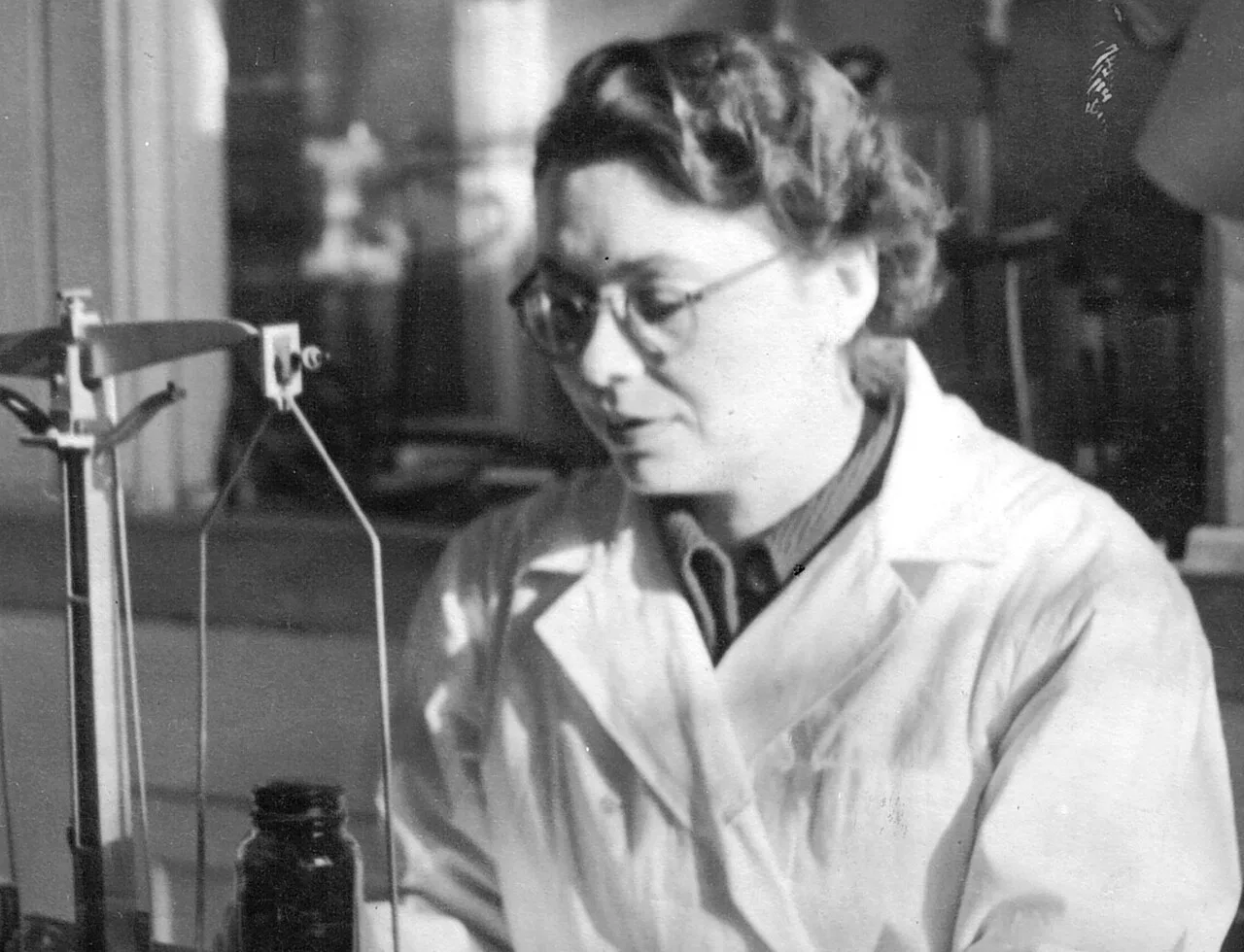 Porträt von Paulina Włodawer (1914–2006) – Gedenkseite