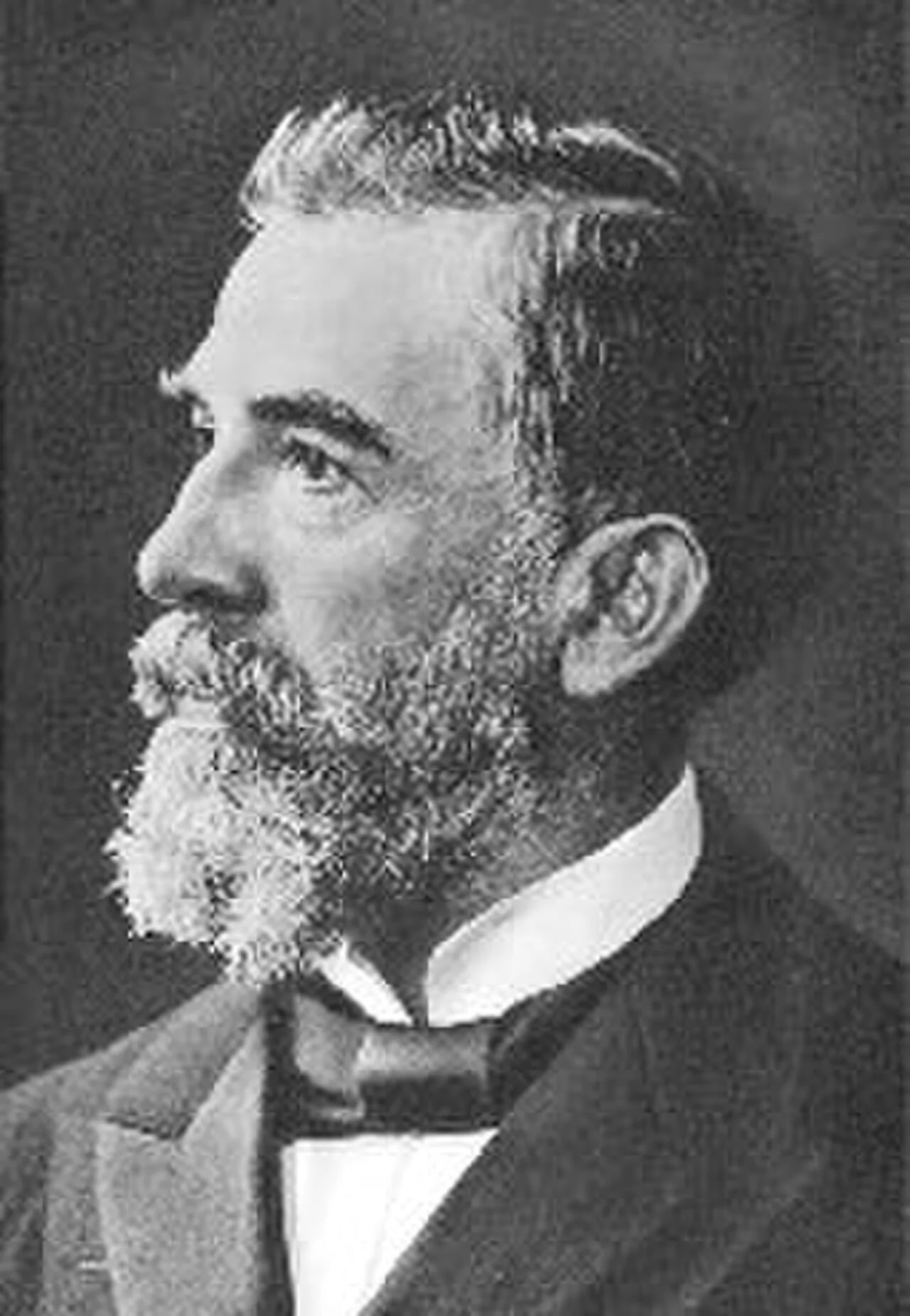 Porträt von Werner Genest (1850–1920) – Gedenkseite