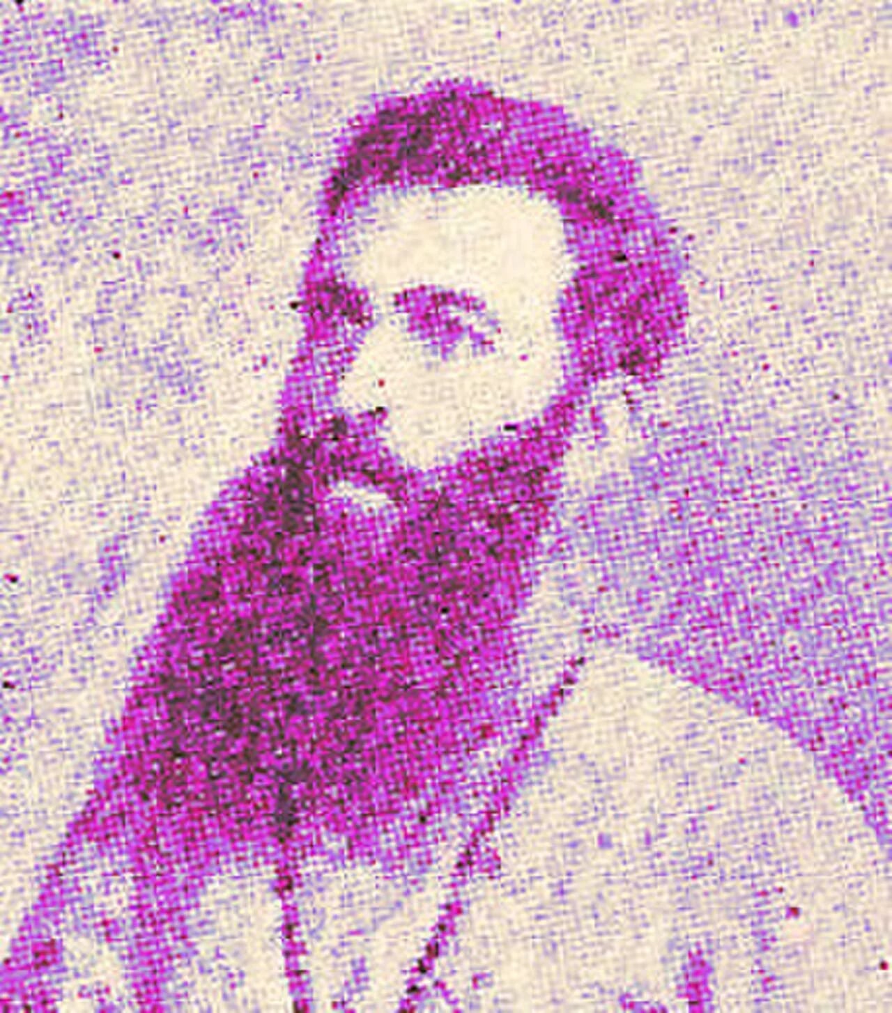 Porträt von Jean-Guillaume Levaux (1857–1900) – Gedenkseite