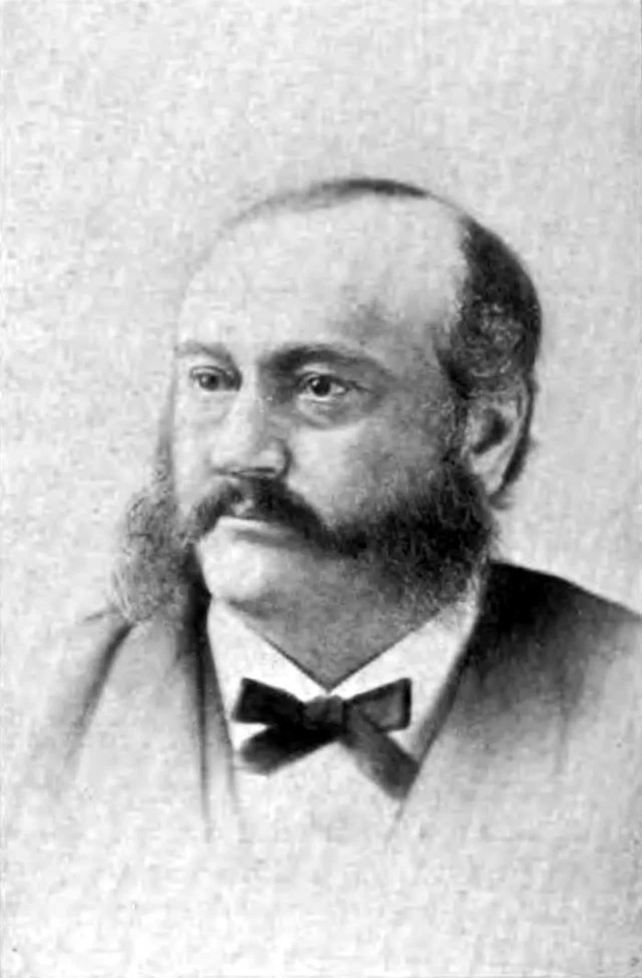 Portrait of William Dorsheimer (1832–1888) – memorial page