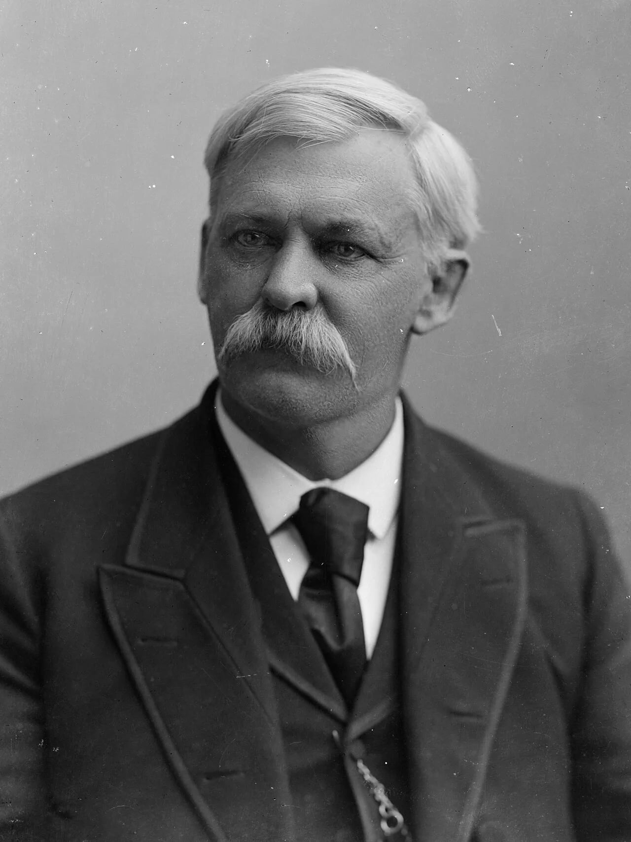 Portrait of William H. Harries (1843–1921) – memorial page