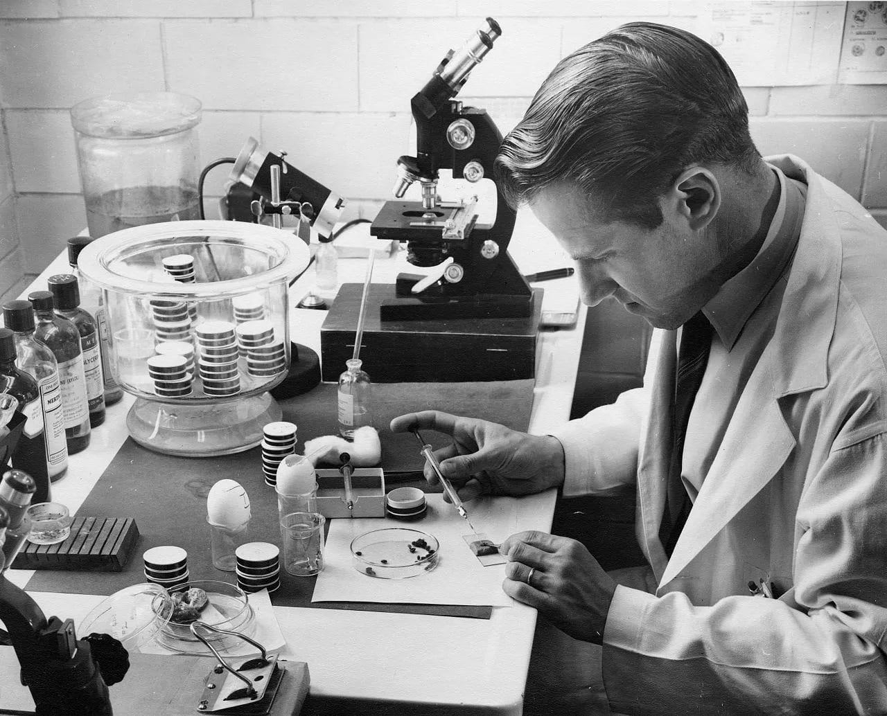 Portrait of Willy Burgdorfer (1925–2014) – memorial page