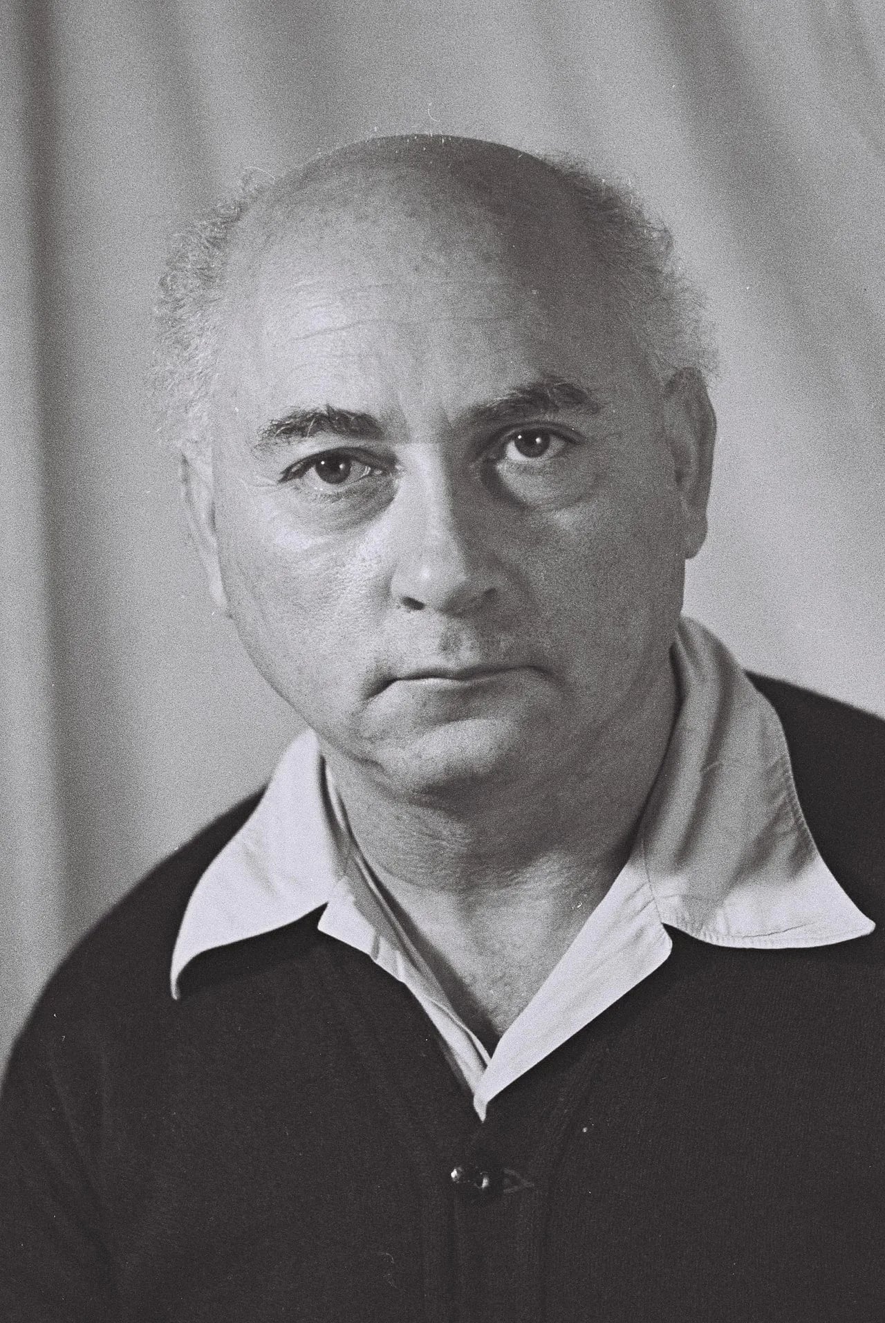 Portrait of Aharon Zisling (1901–1964) – memorial page