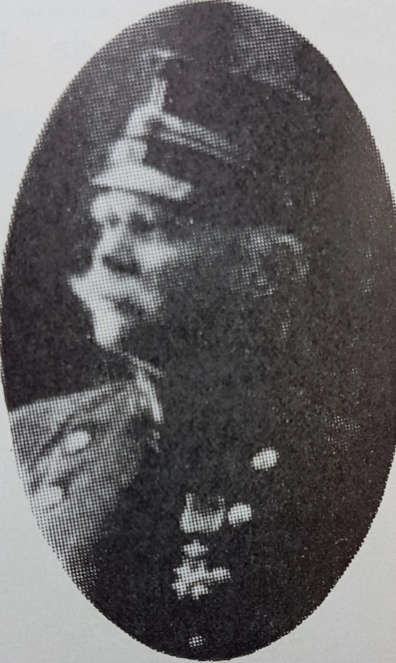 Porträt von Hjalmar Trafvenfelt (1851–1937) – Gedenkseite