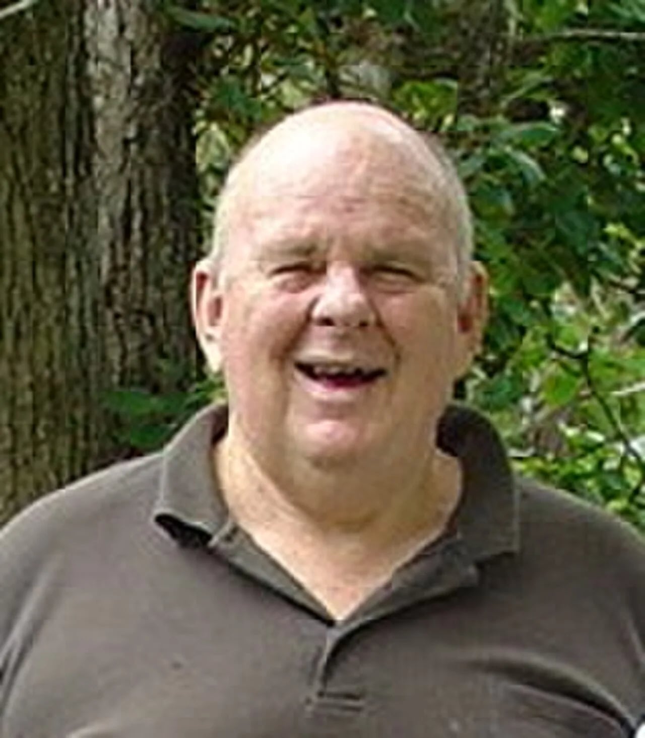 Porträt von Les Murray (1938–2019) – Gedenkseite