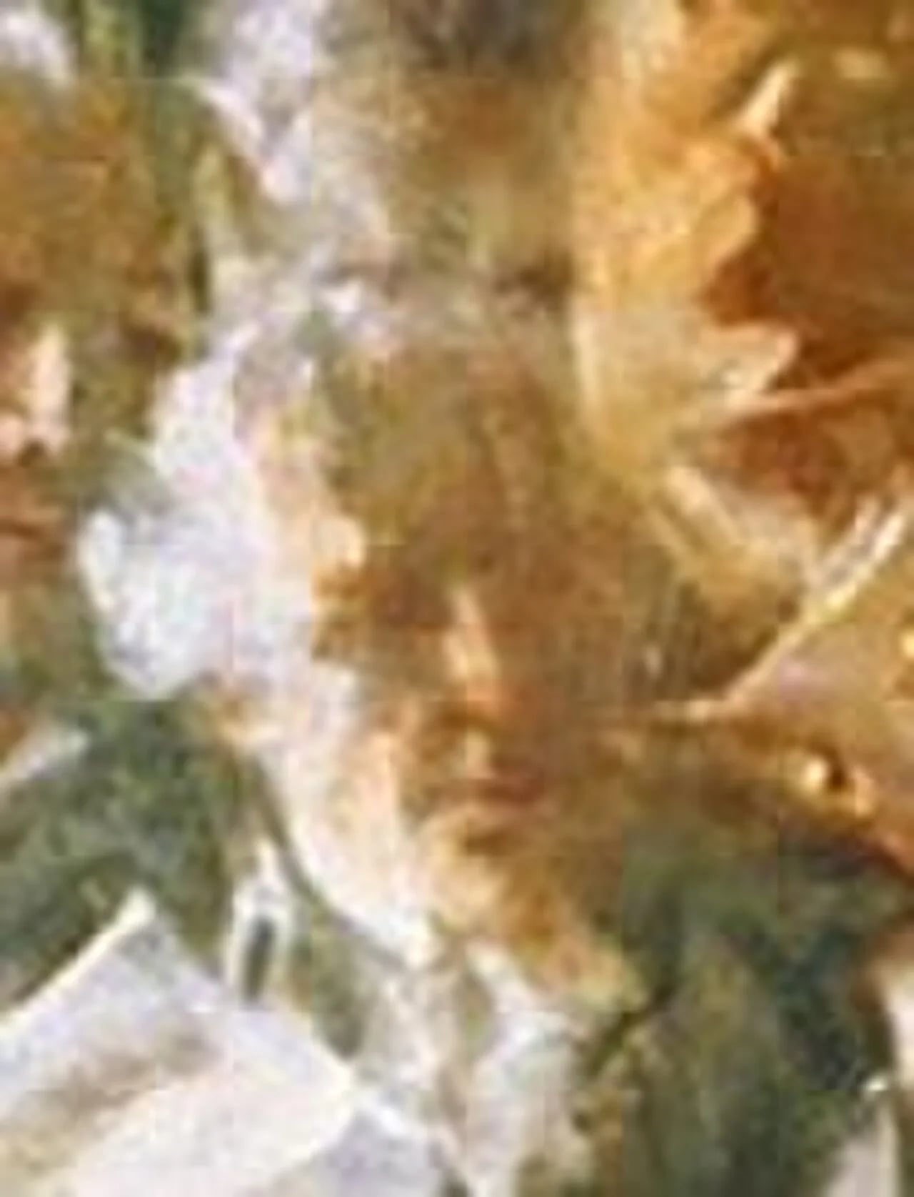 Portrait of Jacob Broom (1752–1810) – memorial page
