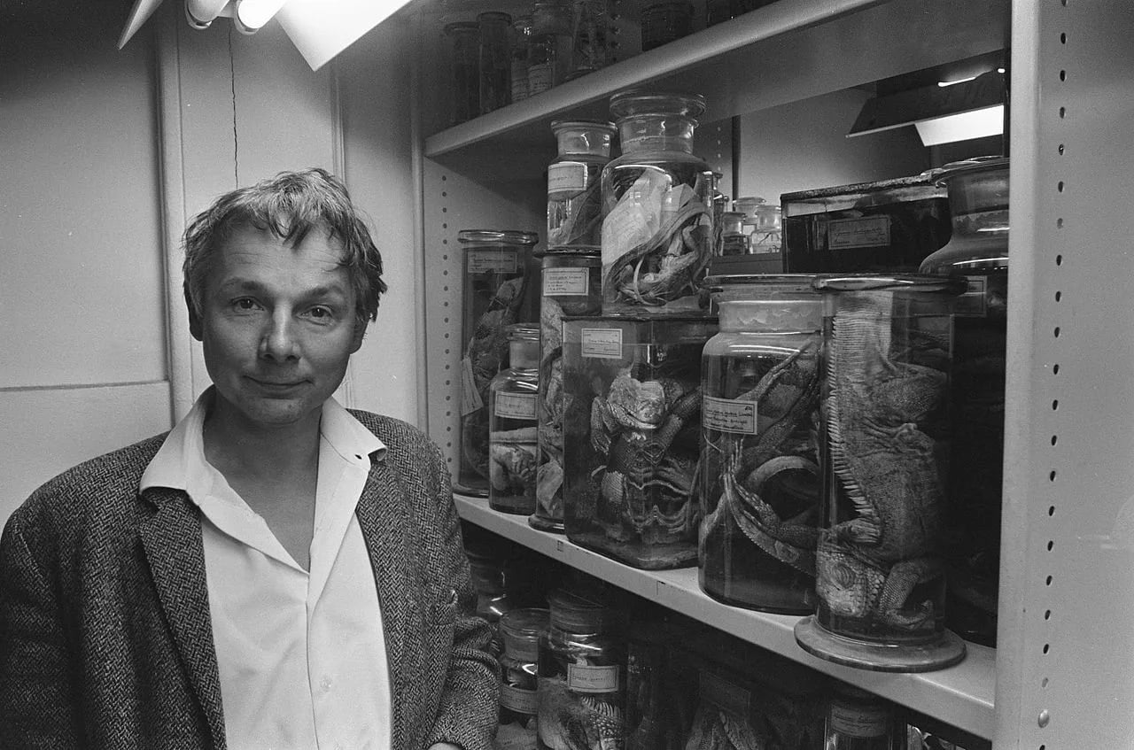 Portrait of Dick Hillenius (1927–1987) – memorial page