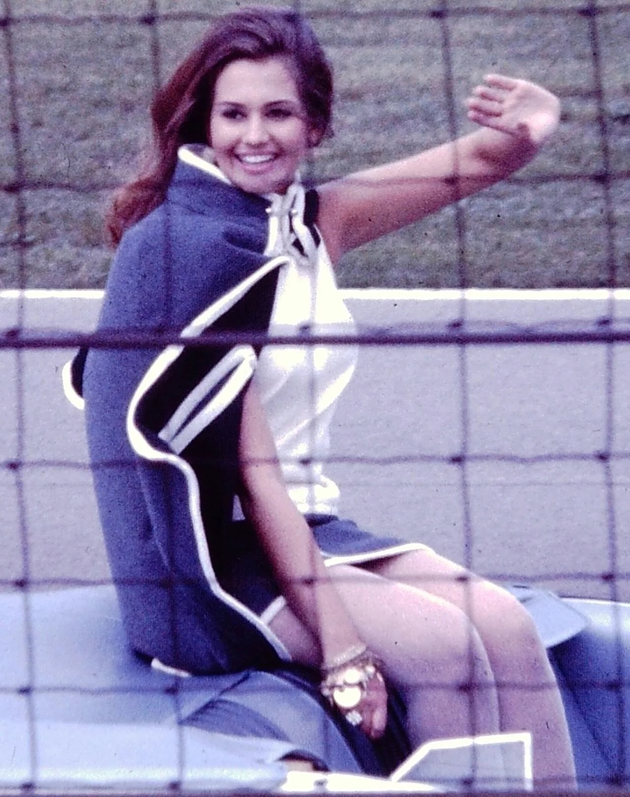 Portrait of Sylvia Hitchcock (1946–2015) – memorial page
