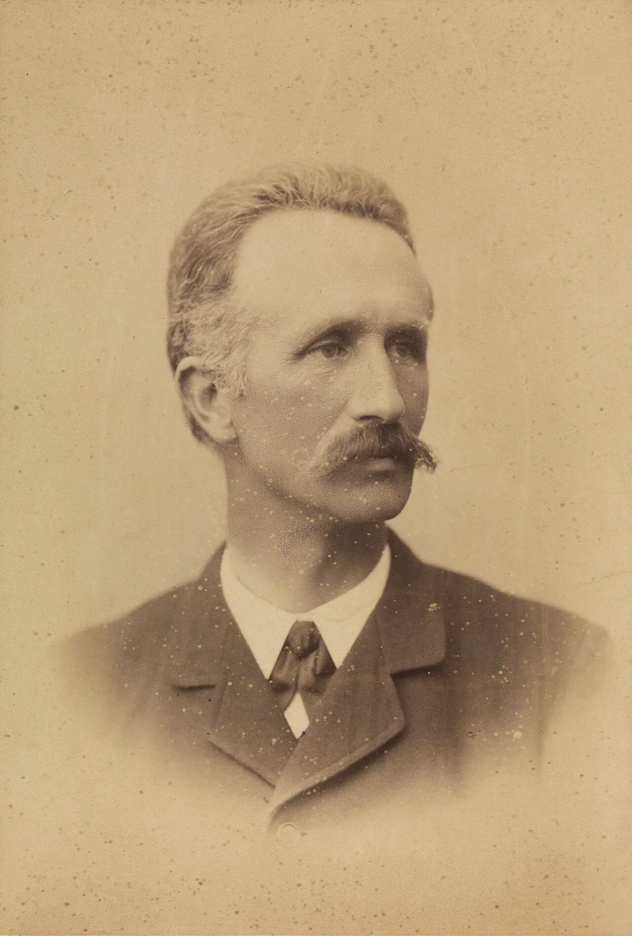 Porträt von Jonas Collin (1840–1905) – Gedenkseite