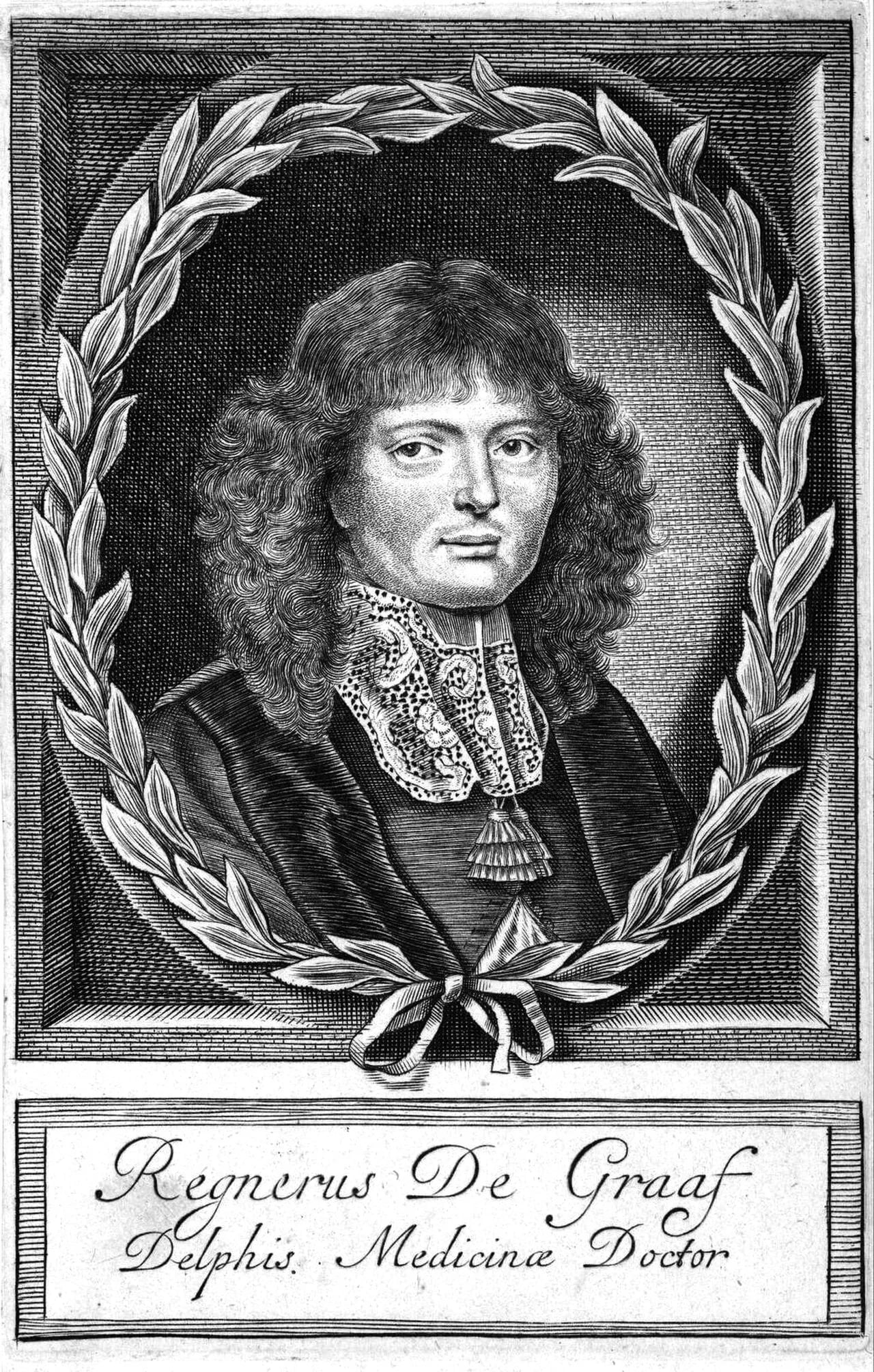 Porträt von Reinier de Graaf (1641–1673) – Gedenkseite