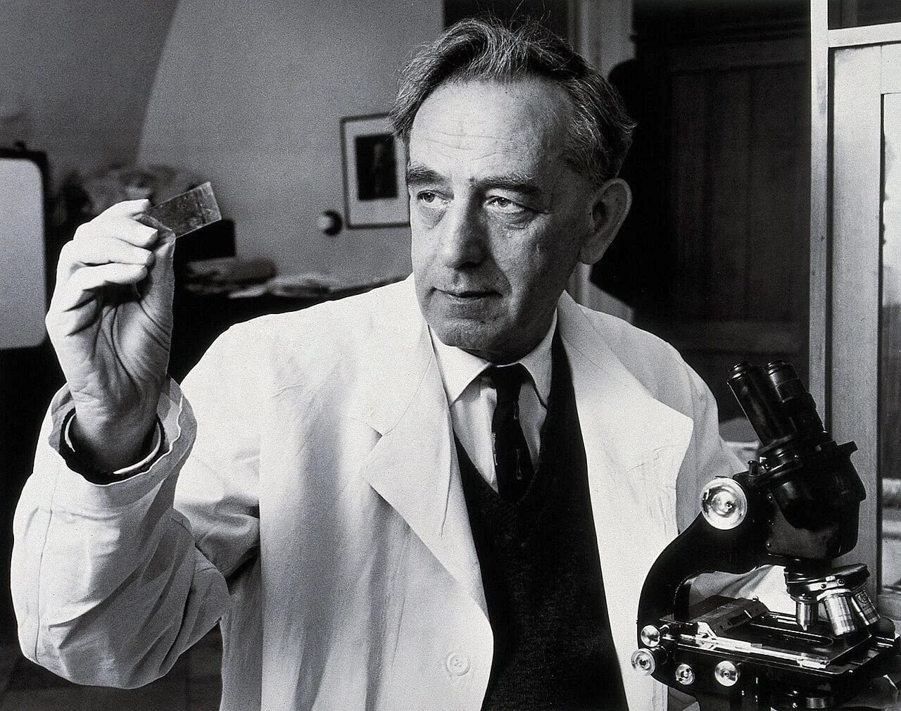 Porträt von Saul Adler (1895–1966) – Gedenkseite