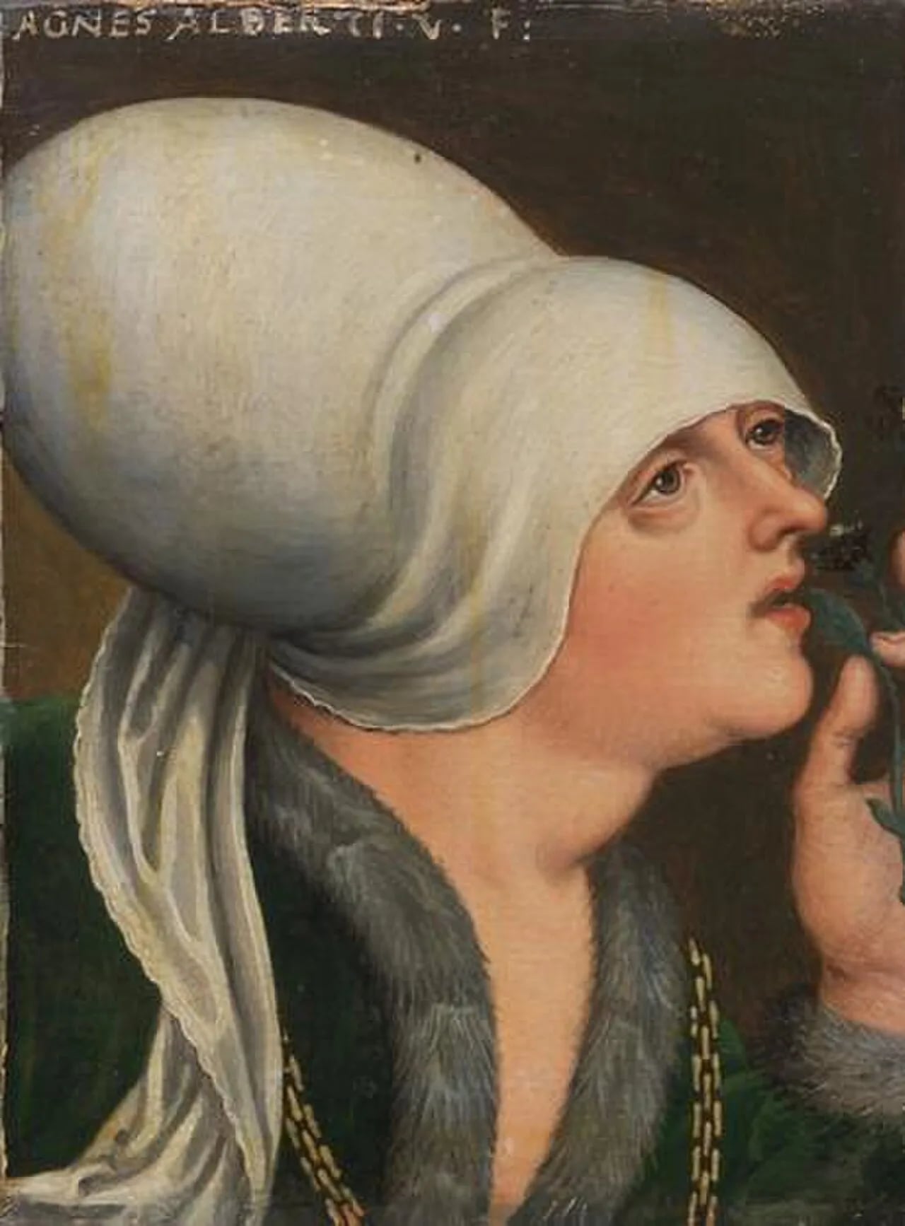 Porträt von Anna von Österreich (1432–1462) – Gedenkseite