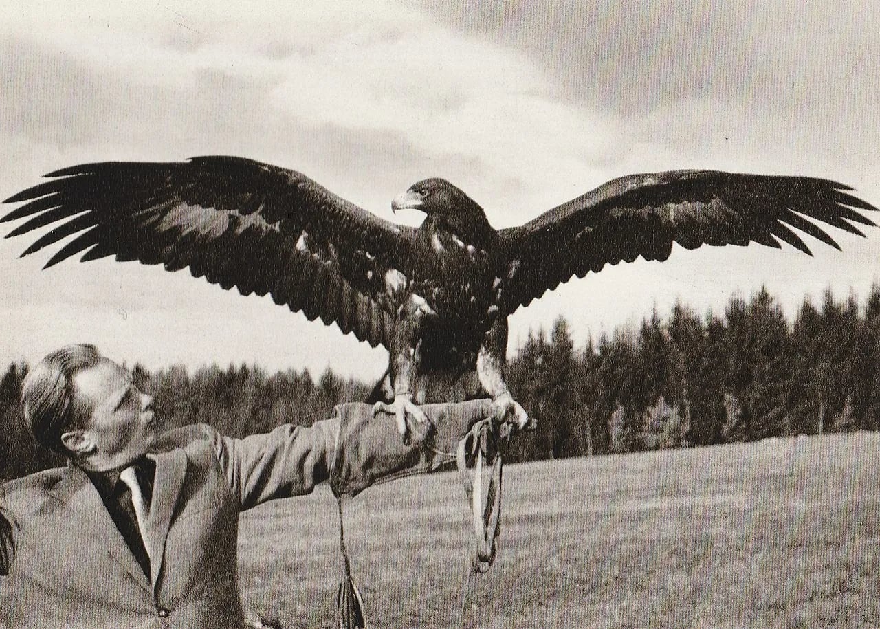 Portrait of Dominik Kollinger (1929–2018) – memorial page