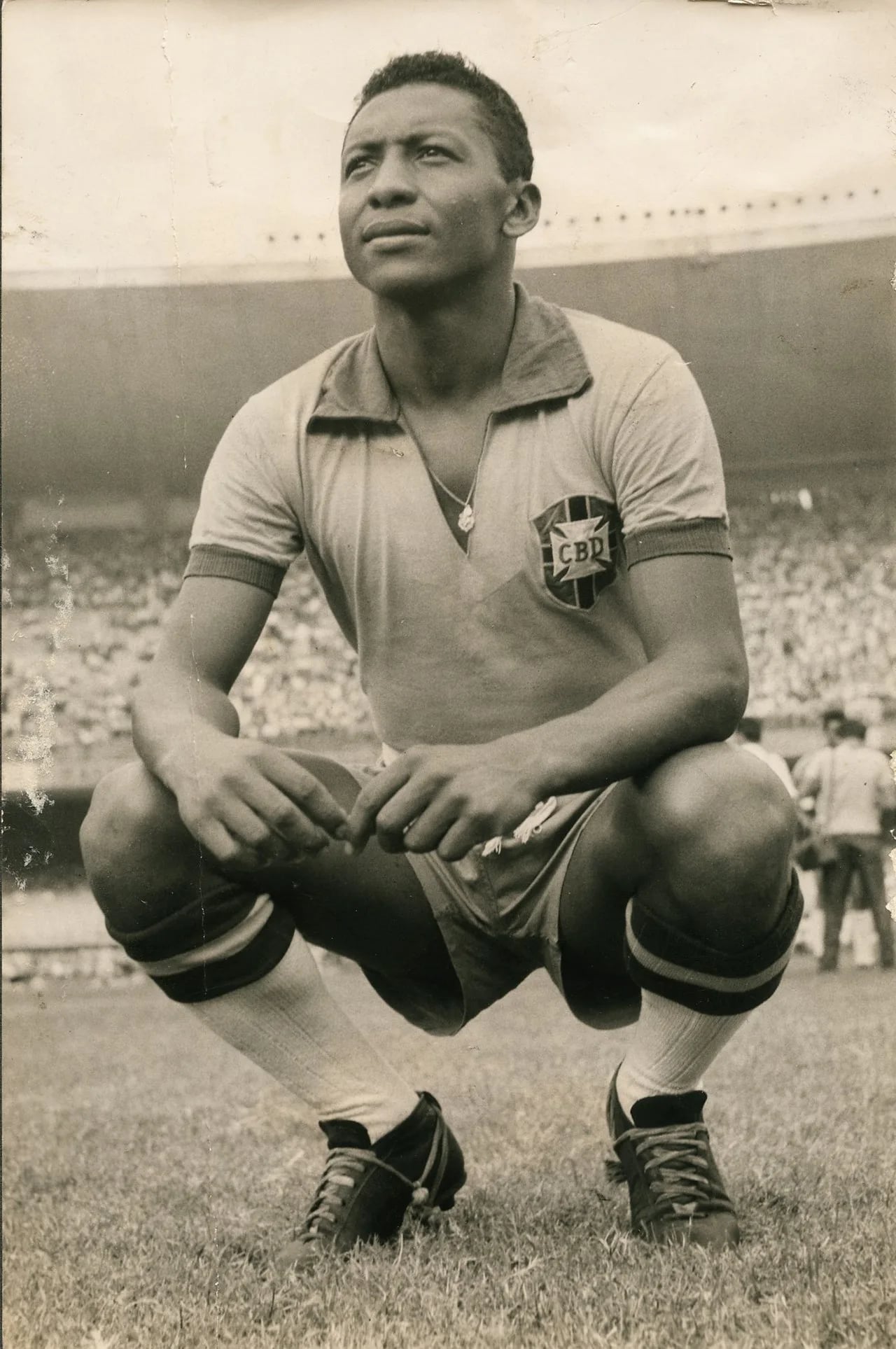 Portrait of Aluísio Francisco da Luz (1931–2020) – memorial page