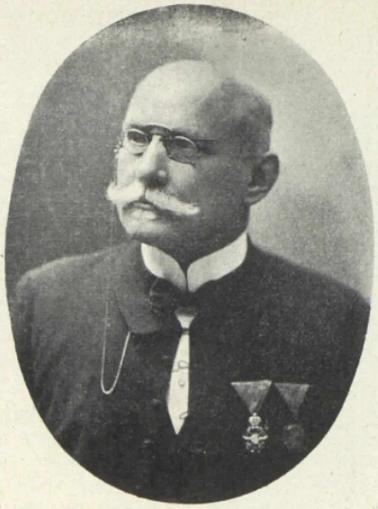 Portrait of František Vlach (1849–1920) – memorial page