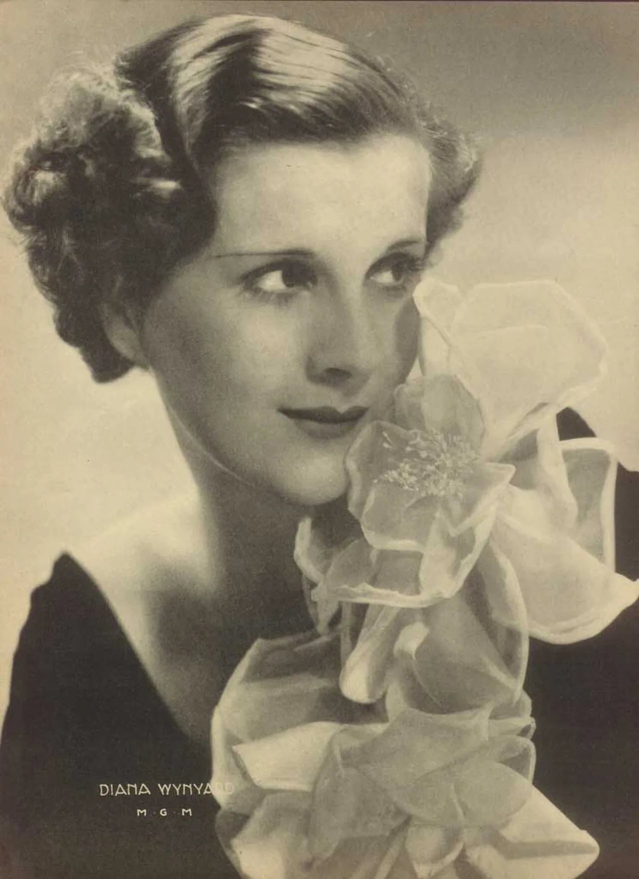 Portrait of Diana Wynyard (1906–1964) – memorial page
