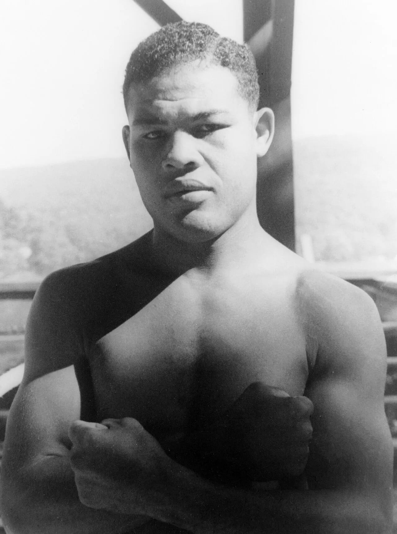 Portrait of Joe Louis (1914–1981) – memorial page