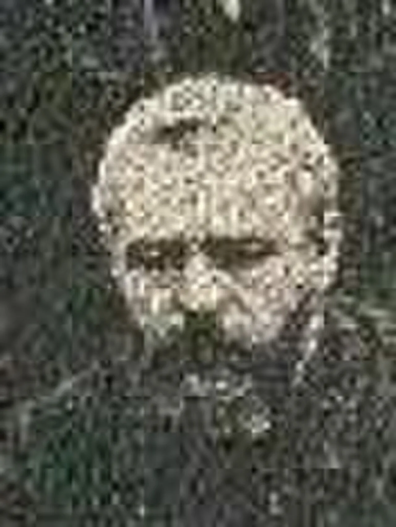 Porträt von Eugène Leclercq (1832–1908) – Gedenkseite