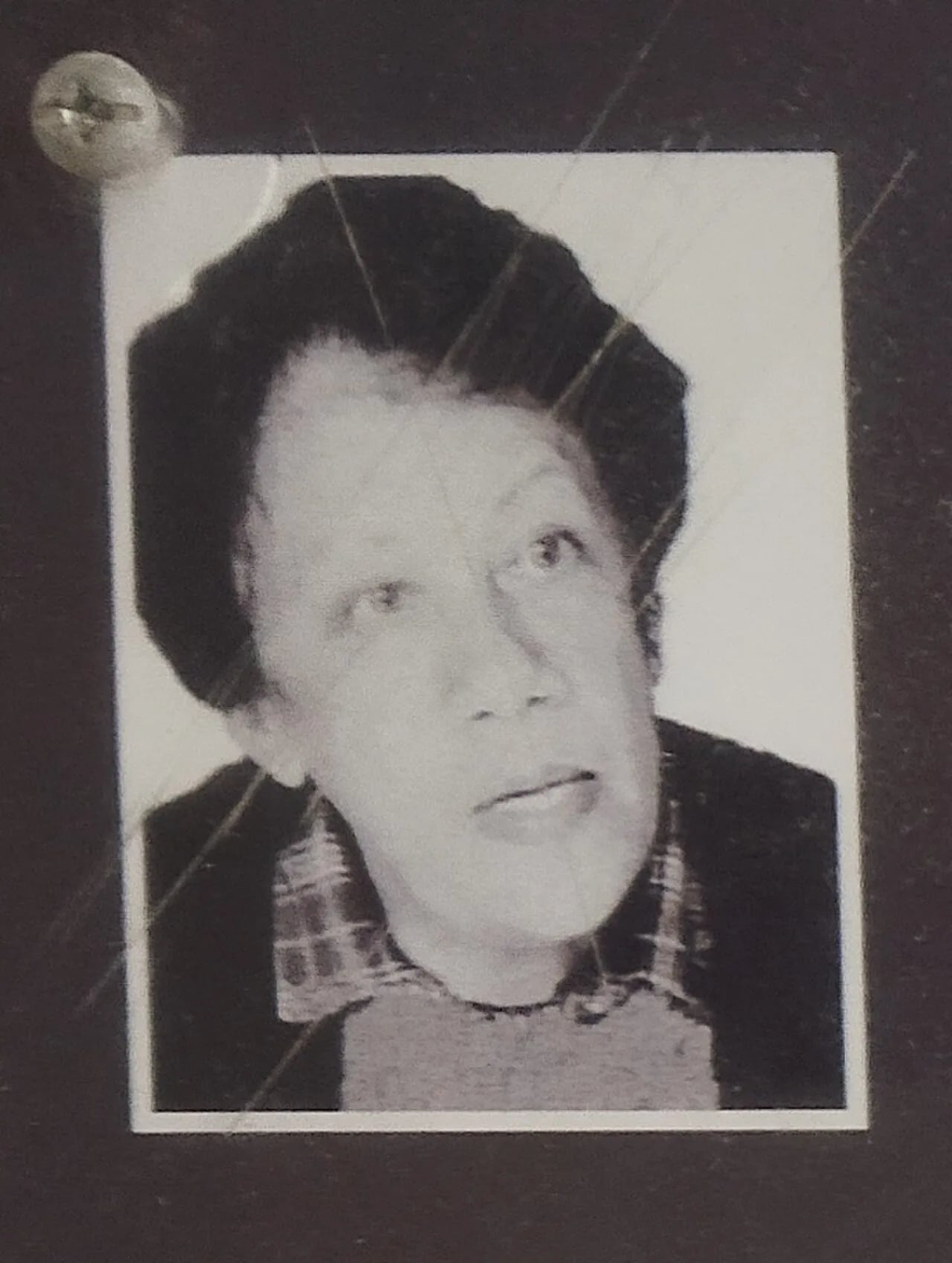 Porträt von Dulcie September (1935–1988) – Gedenkseite