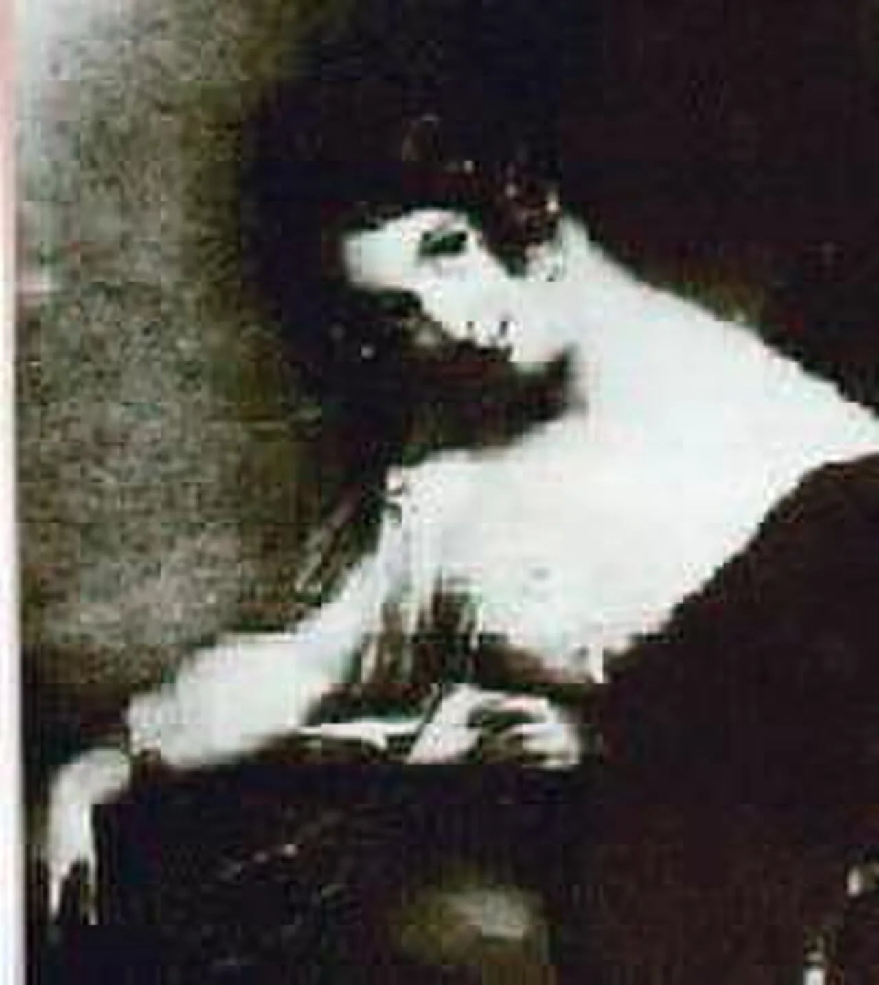 Porträt von Elizabeth Medora Leigh (1814–1849) – Gedenkseite