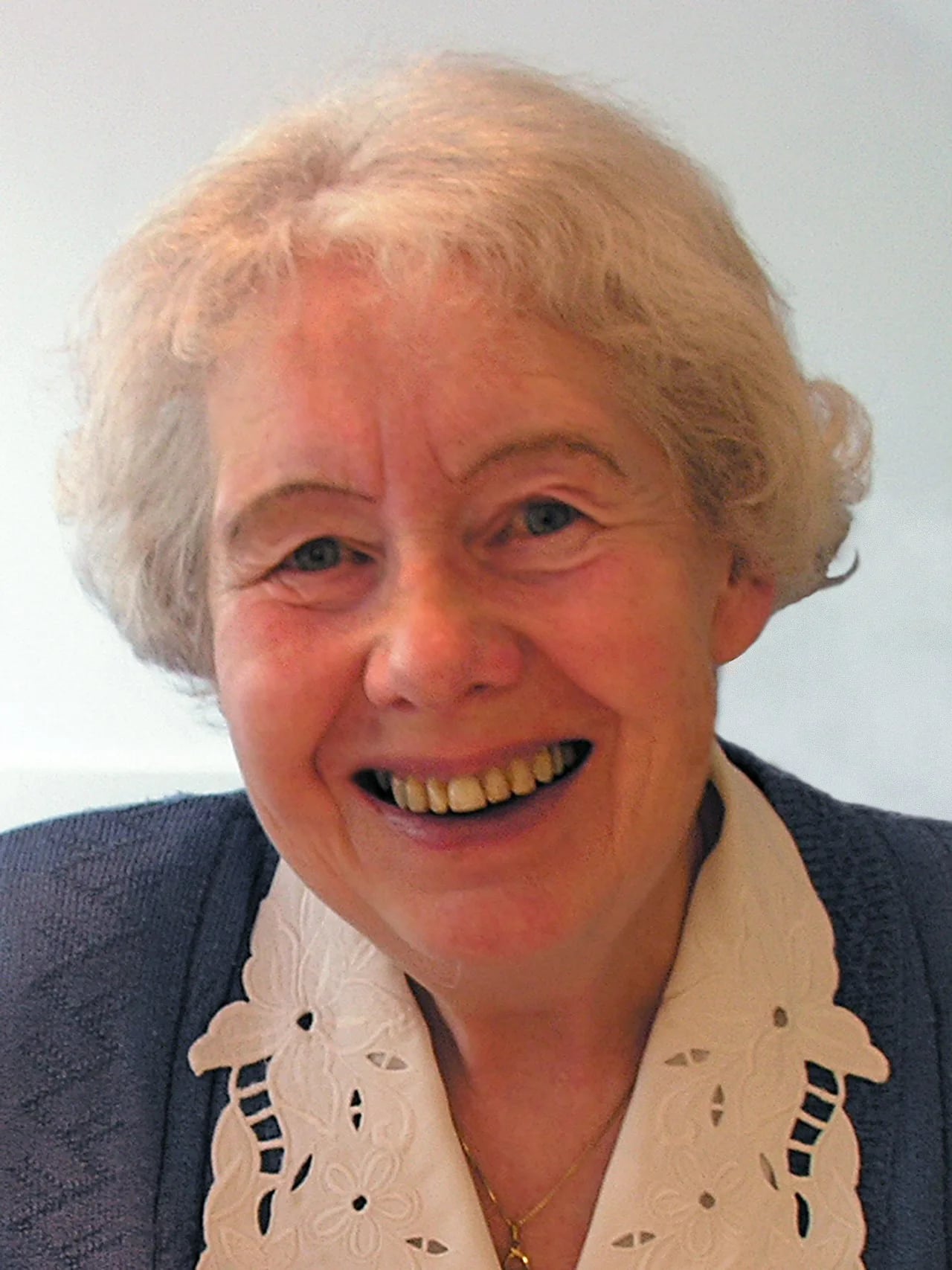 Portrait of Jos van Manen Pieters (1930–2015) – memorial page