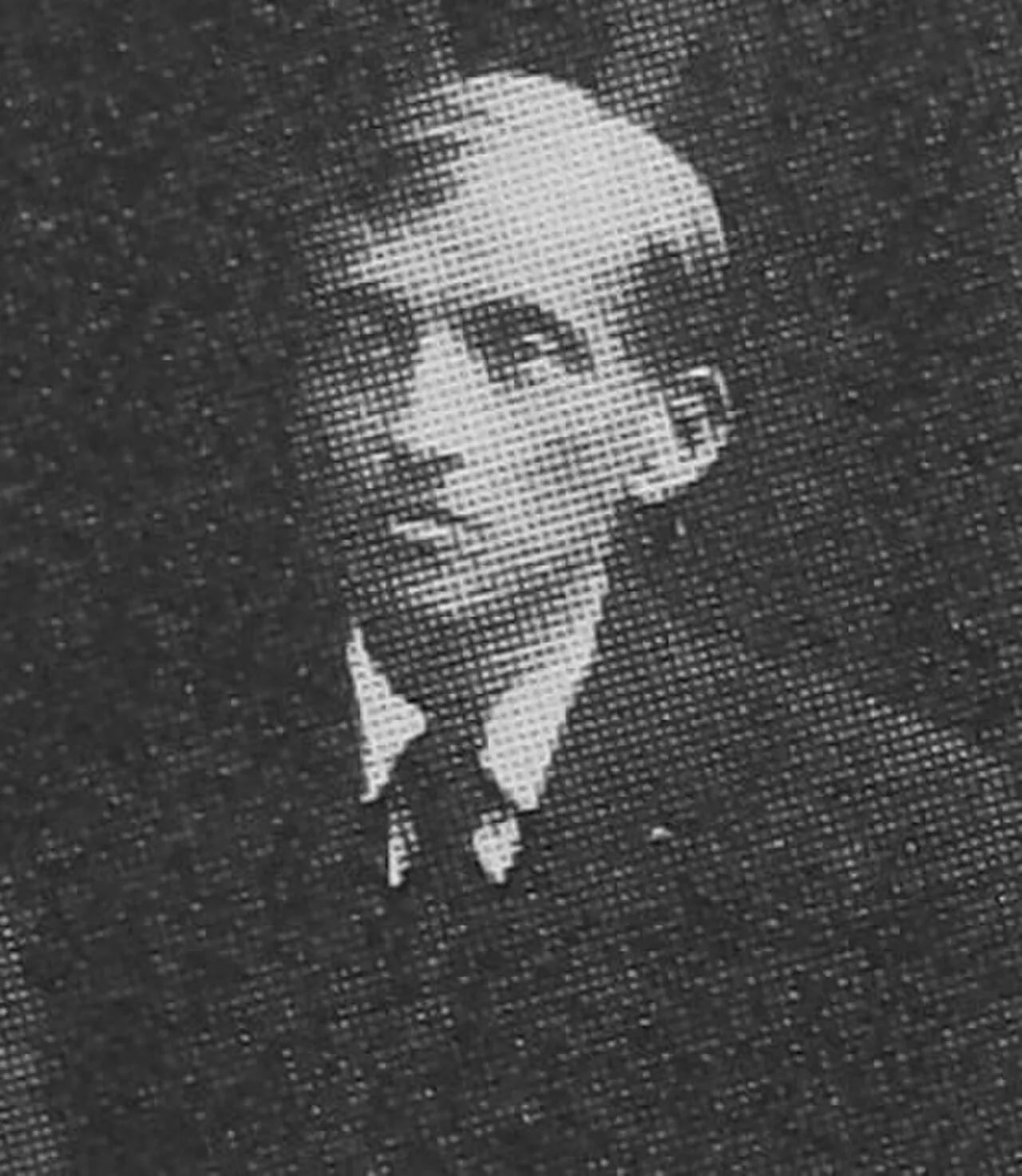 Portrait of Józef Trznadel (1883–1944) – memorial page