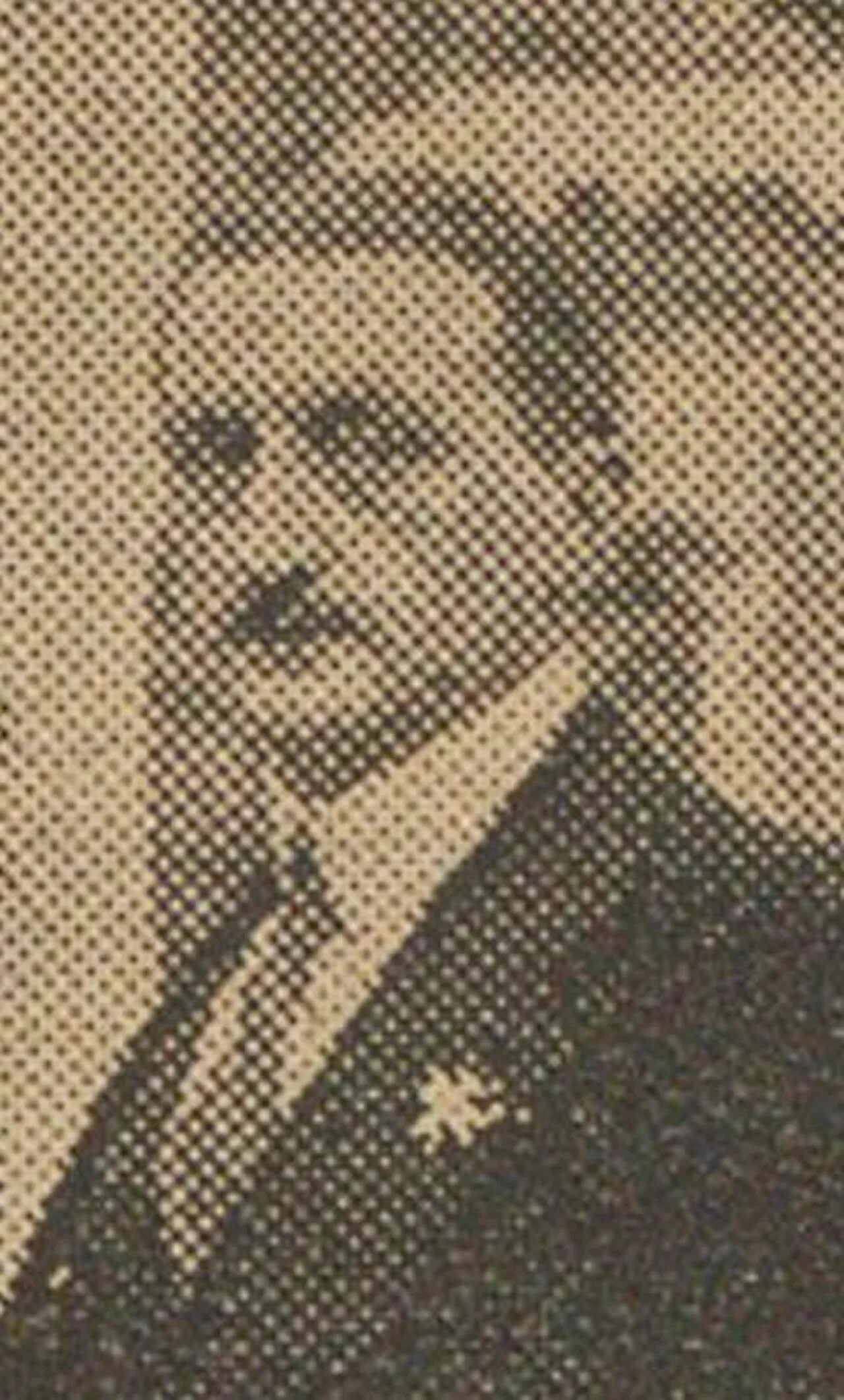 Portrait of Adolphe Delmasure (1890–1978) – memorial page