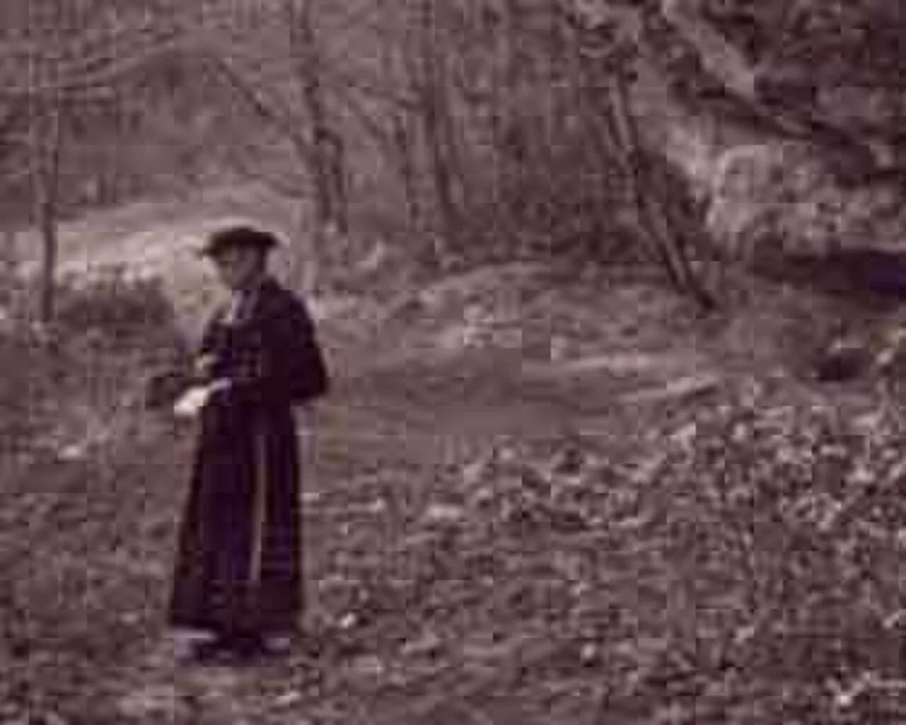 Porträt von Alexandre Parat (1843–1931) – Gedenkseite