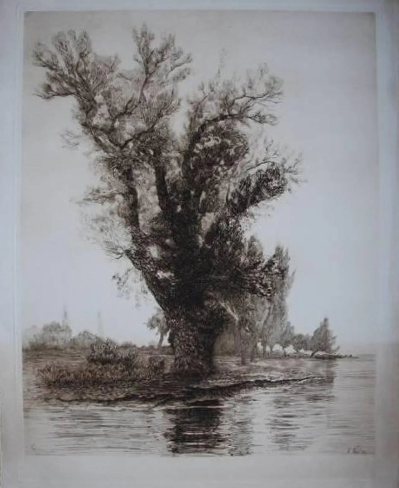 Portrait of Alexis Forel (1852–1922) – memorial page