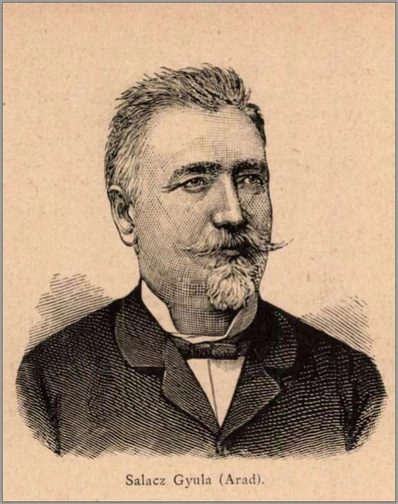 Porträt von Gyula Salacz (1832–1915) – Gedenkseite
