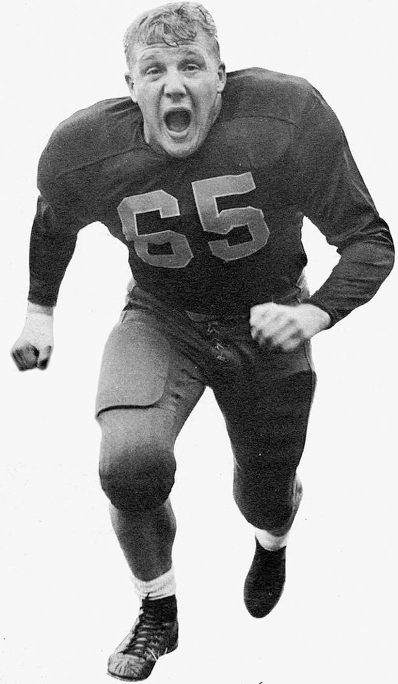 Portrait of Joe Schmidt (1932–2024) – memorial page