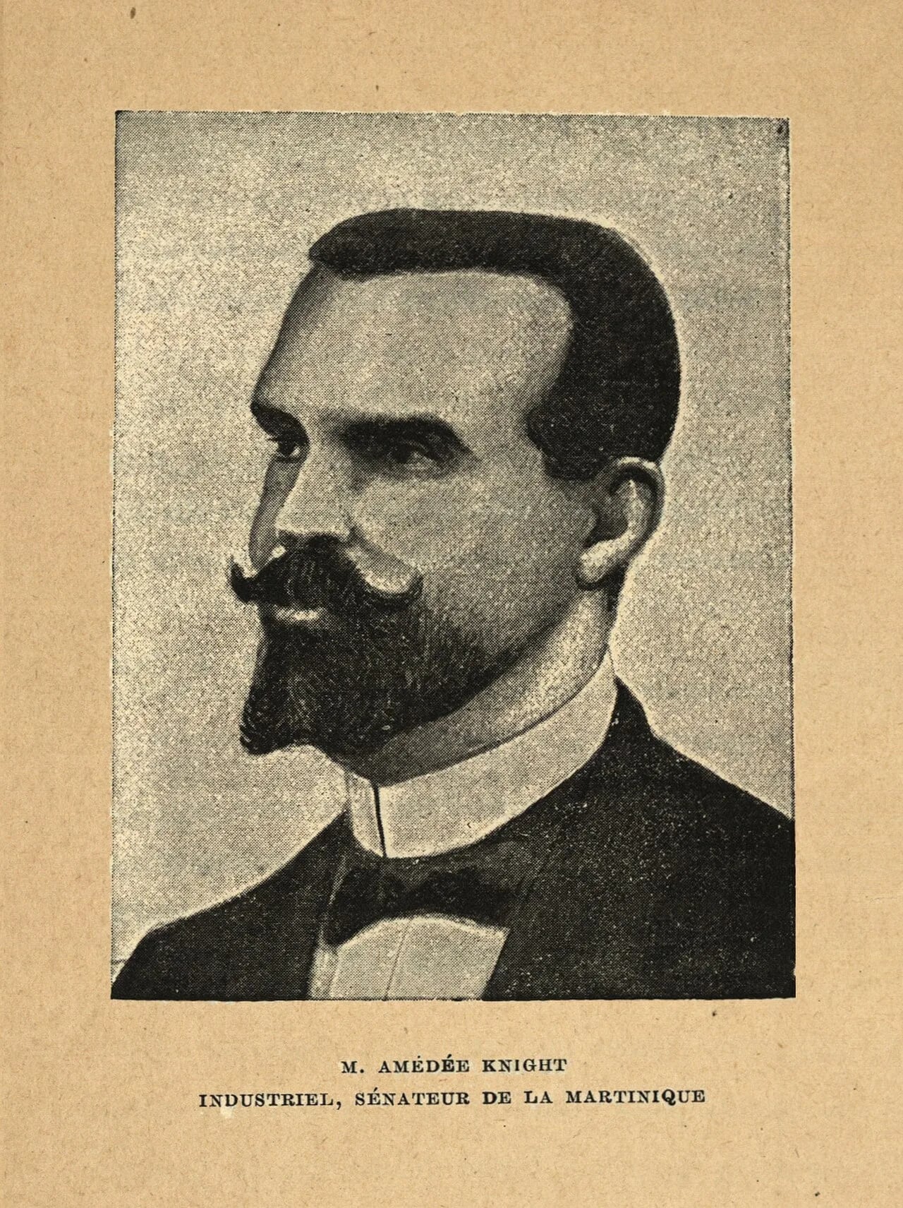 Portrait of Amédée Knight (1852–1916) – memorial page