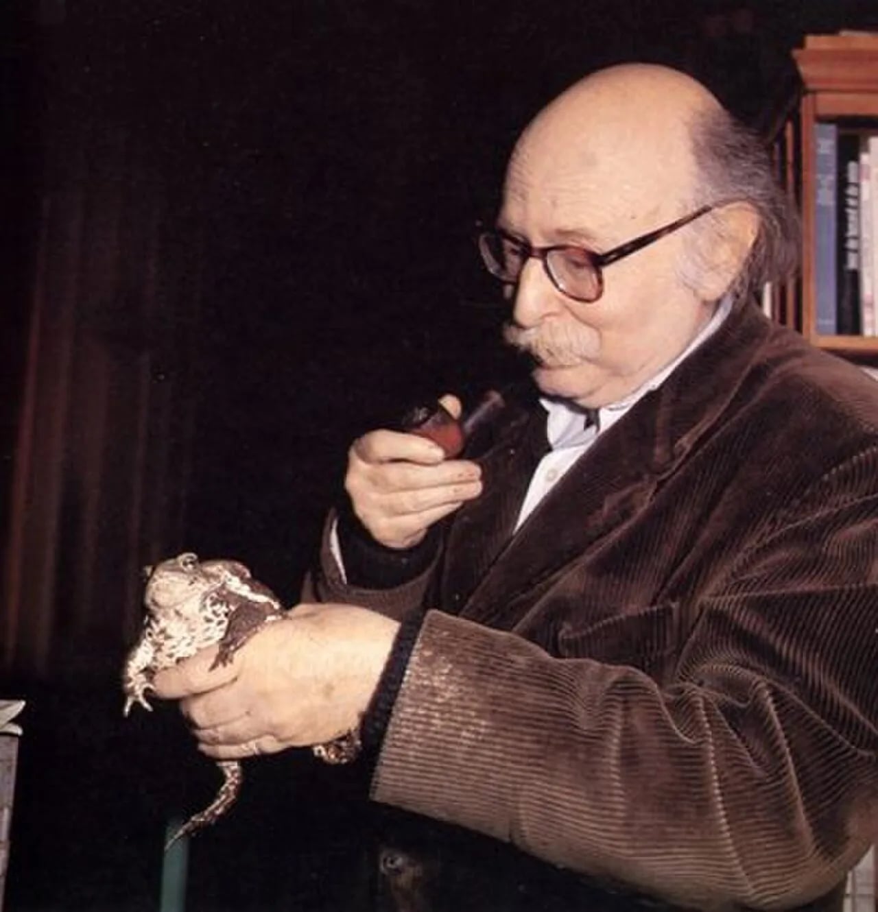 Porträt von Jean Rostand (1894–1977) – Gedenkseite