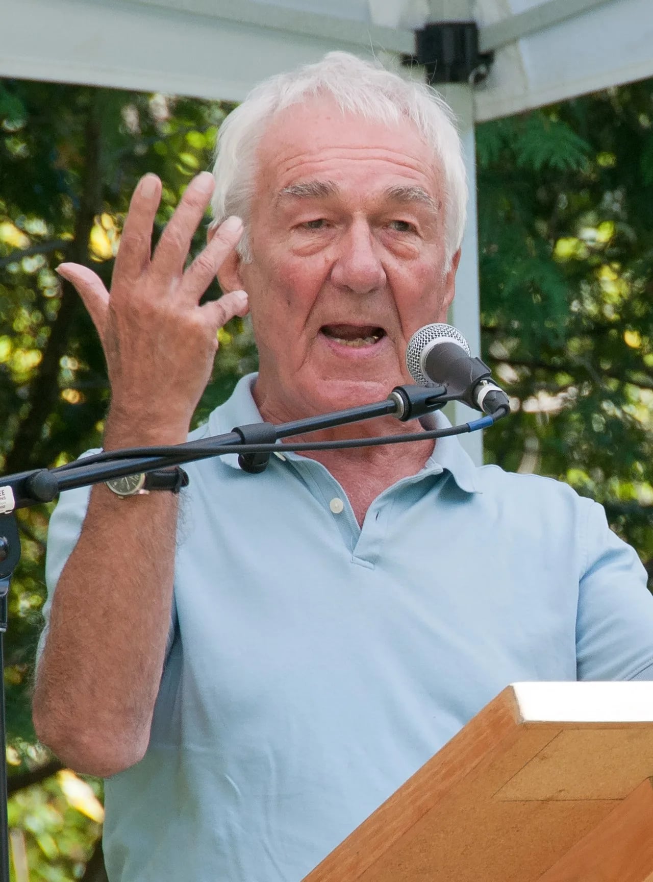 Portrait of Richard Gwyn (1934–2020) – memorial page