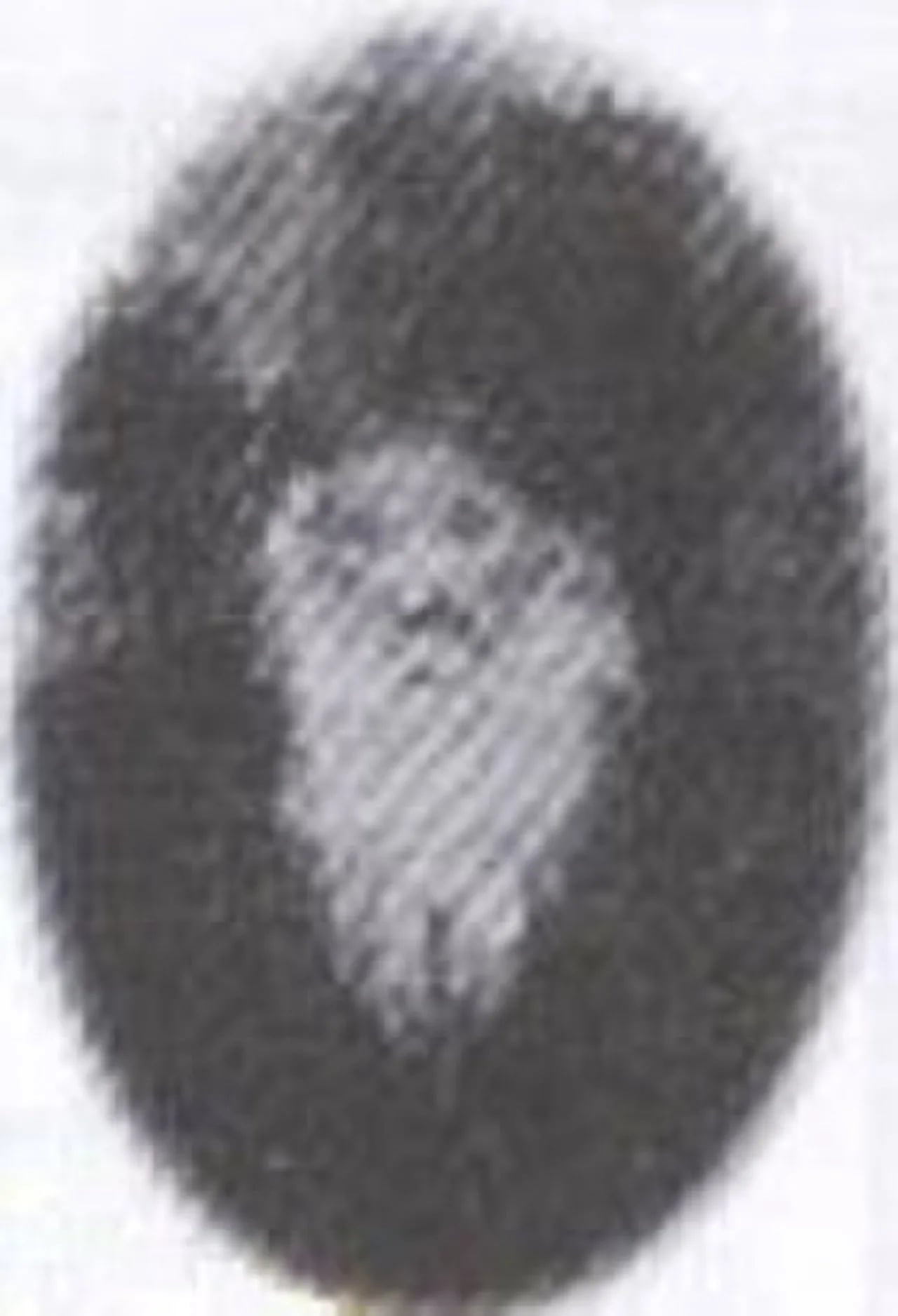 Portrait of Shlomo Halberstam (1847–1905) – memorial page
