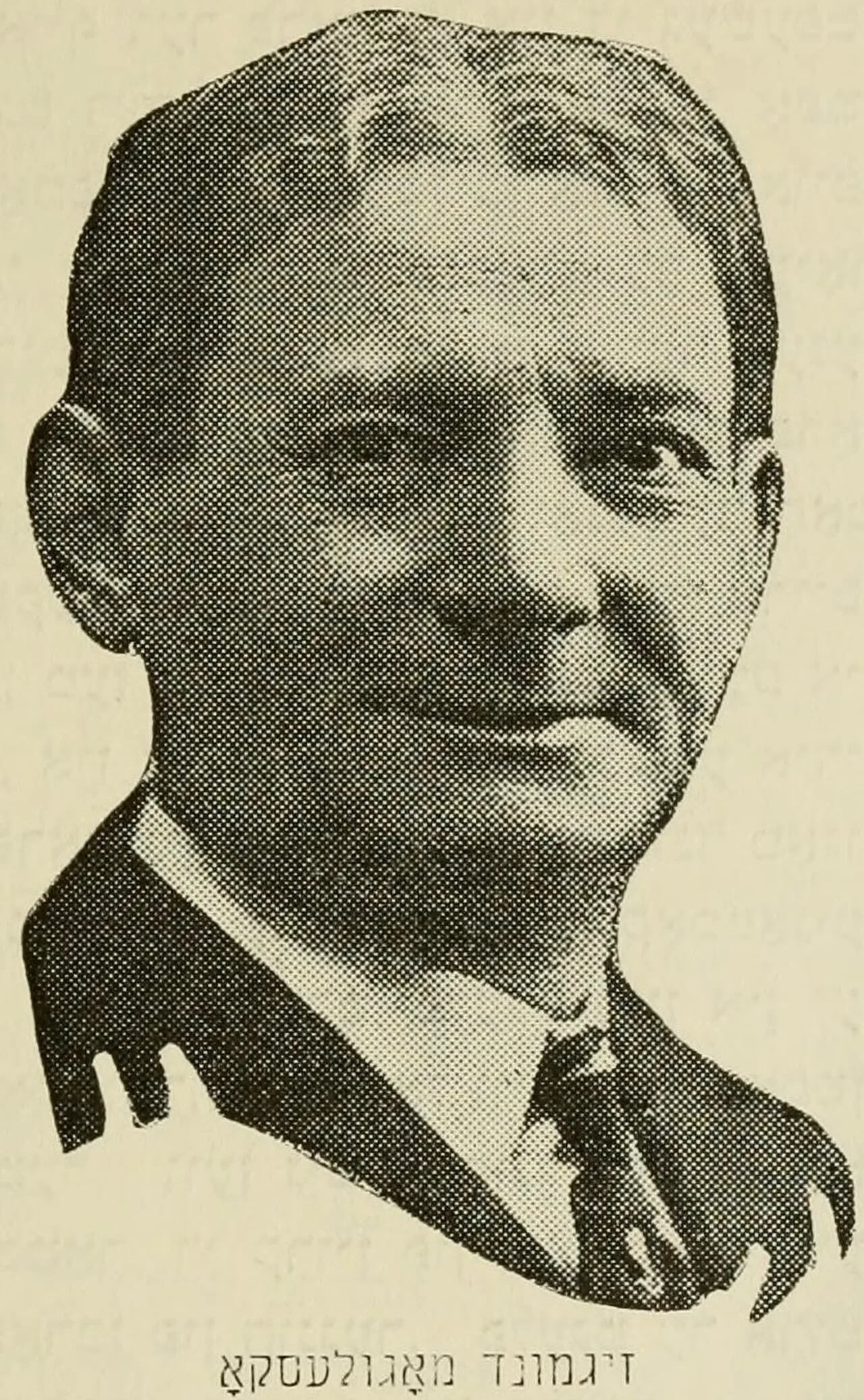 Portrait of Sigmund Mogulesko (1858–1914) – memorial page