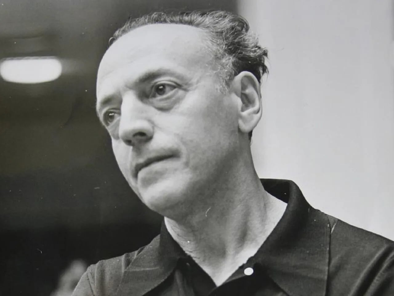 Portrait of Israil Bercovici (1921–1988) – memorial page