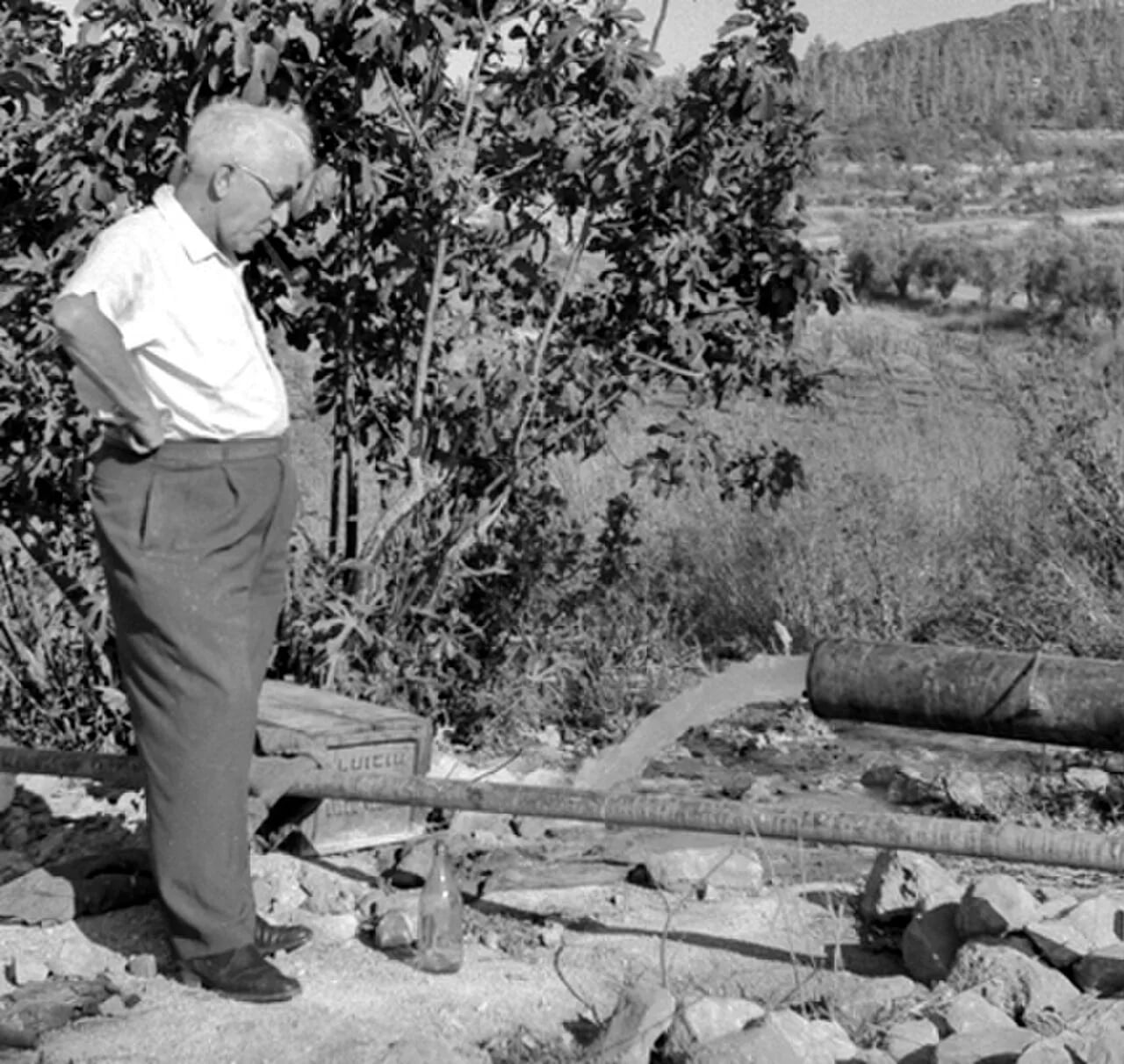 Porträt von Leo Picard (1900–1997) – Gedenkseite