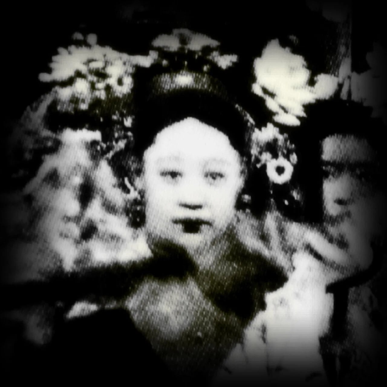 Portrait of Consort Jin (1873–1924) – memorial page