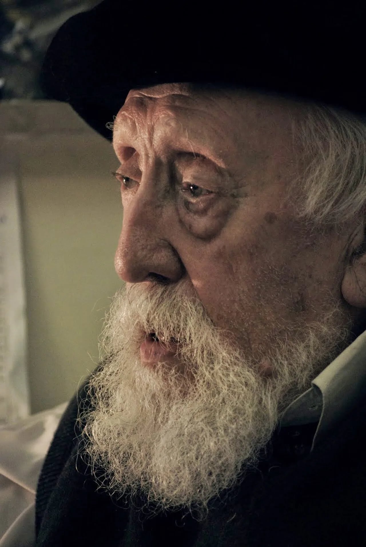Portrait of Reuven Feuerstein (1921–2014) – memorial page