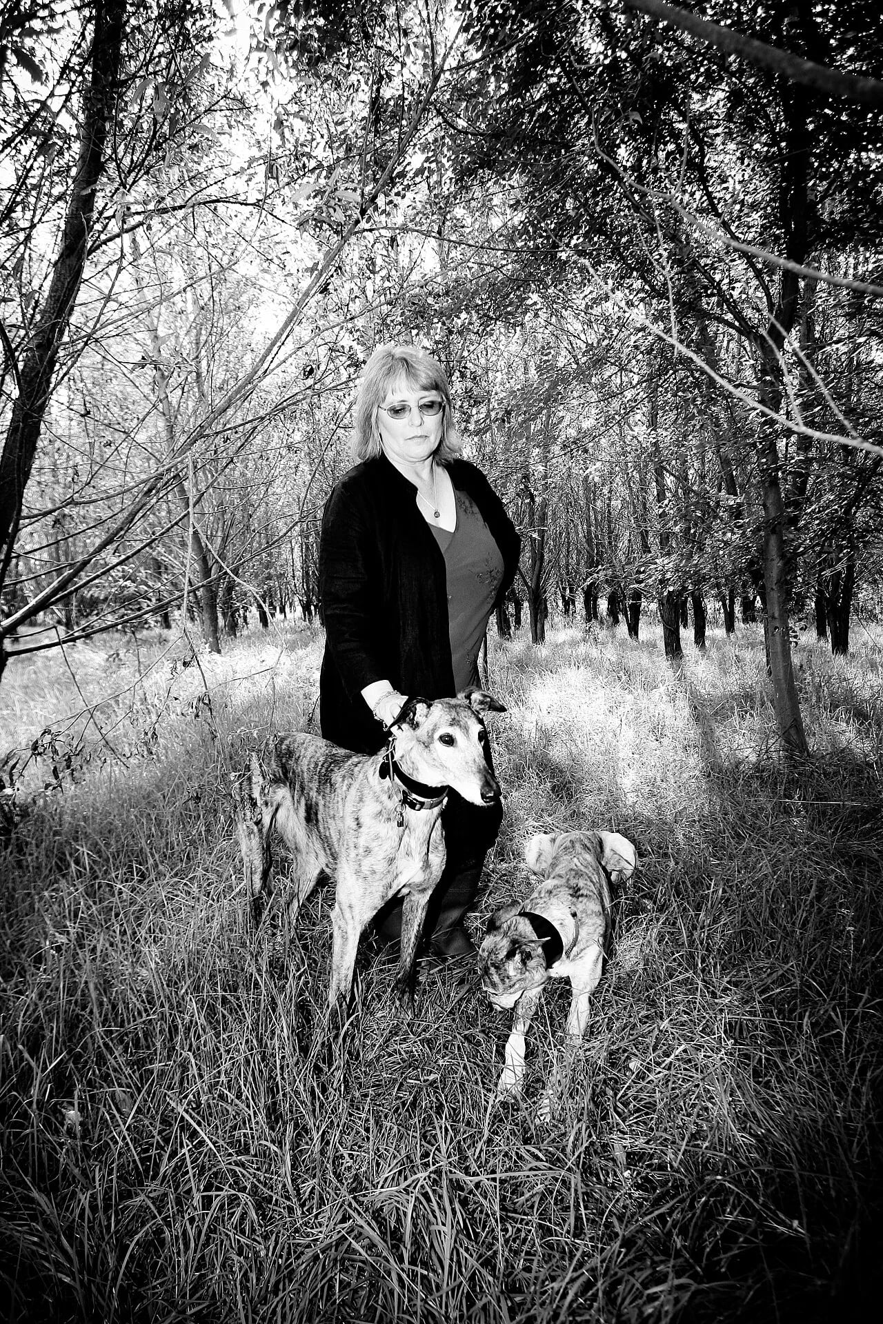 Portrait of Judy Dyble (1949–2020) – memorial page