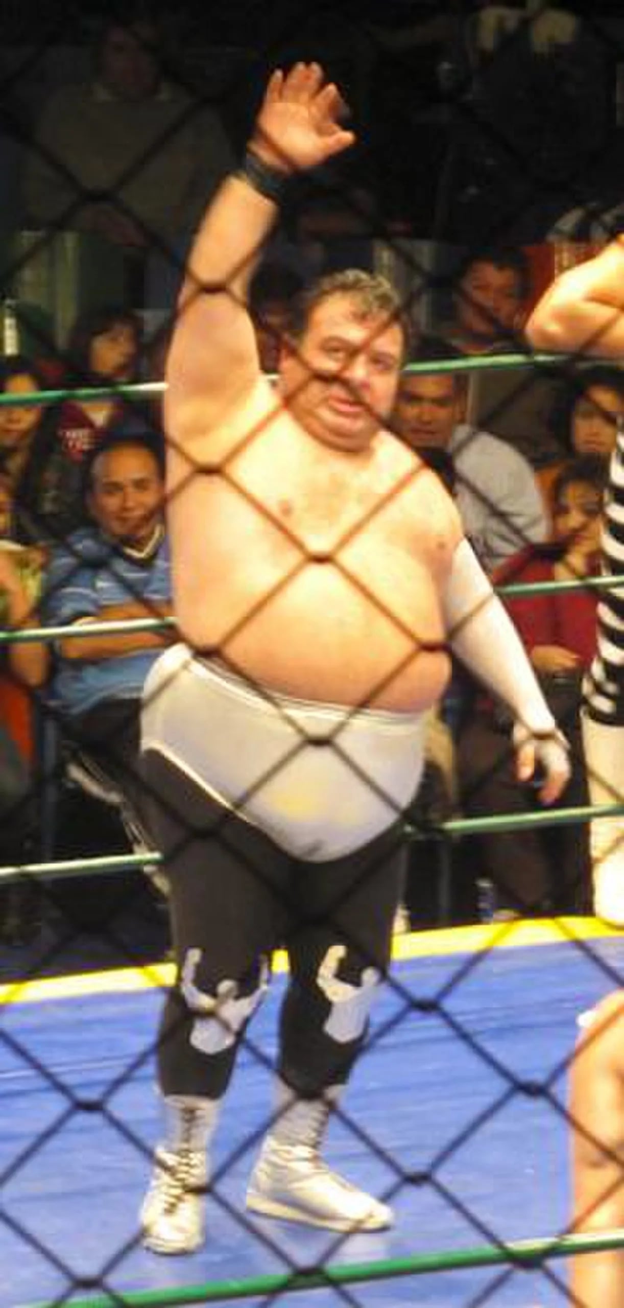 Portrait of Brazo de Plata (1963–2021) – memorial page