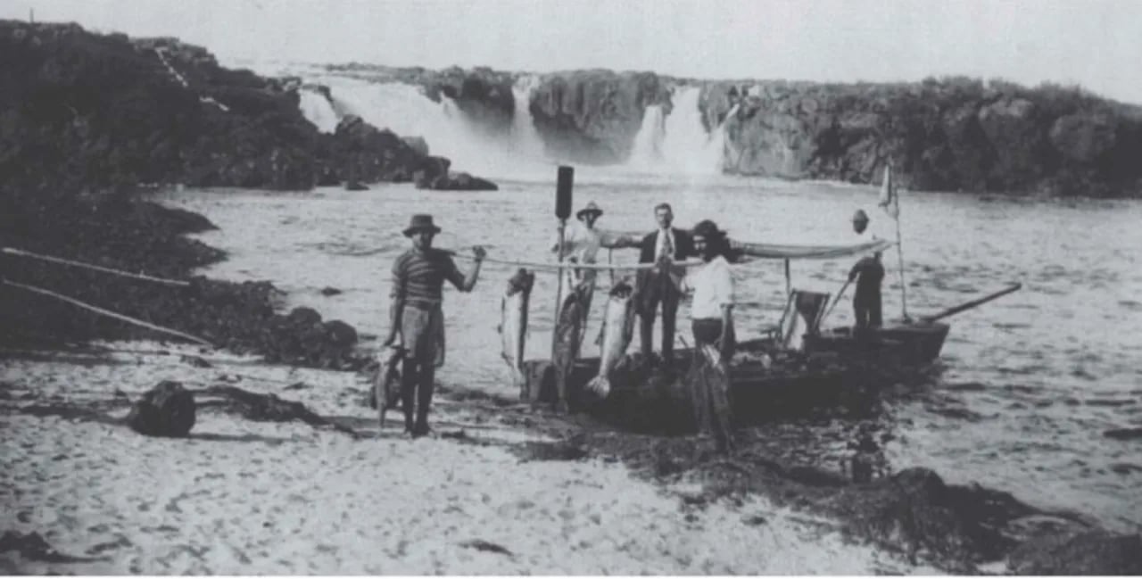 Porträt von João Pedro Cardoso (1871–1957) – Gedenkseite